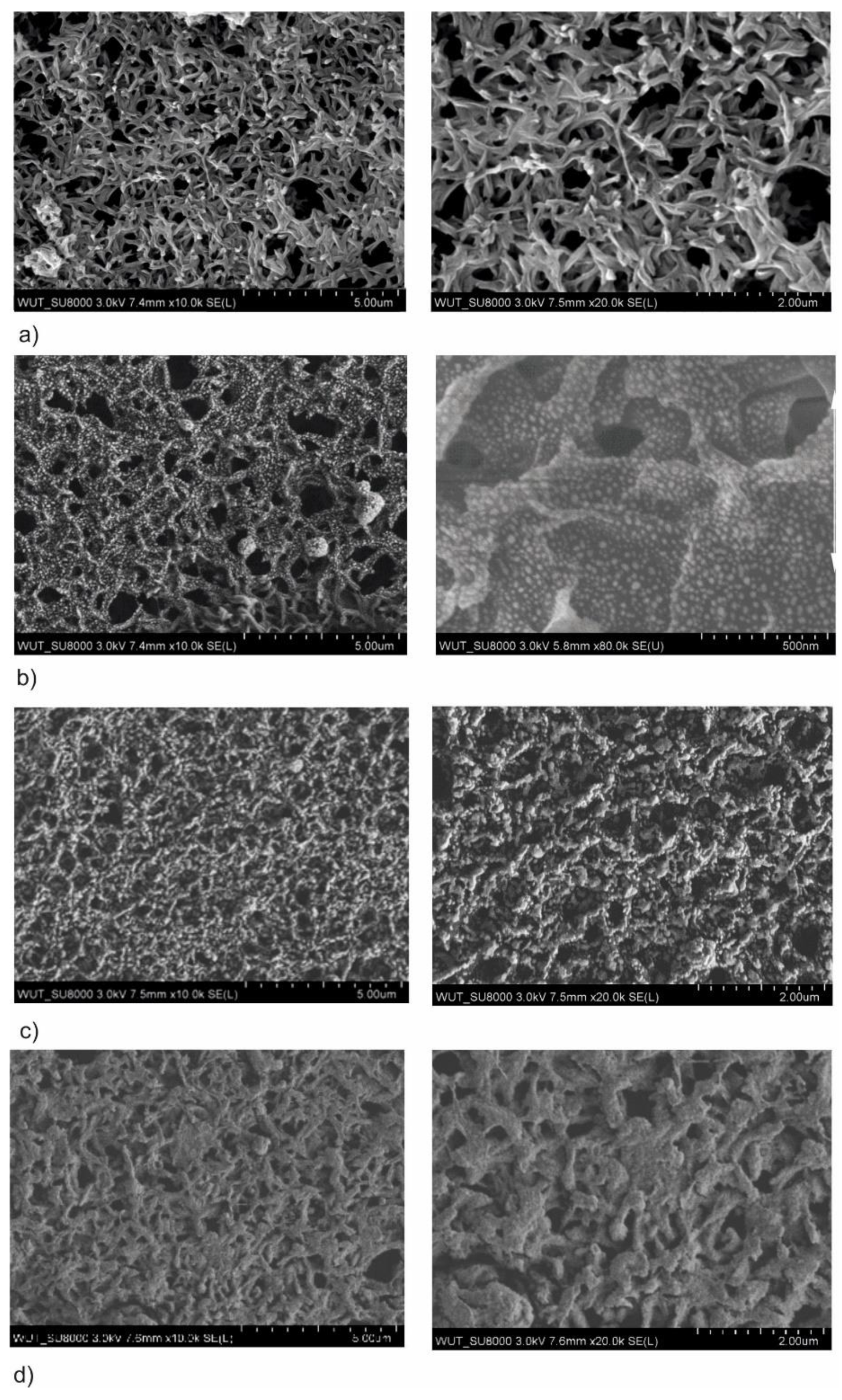 Membranes 10 00133 g001 Membranes 10 00133 g001