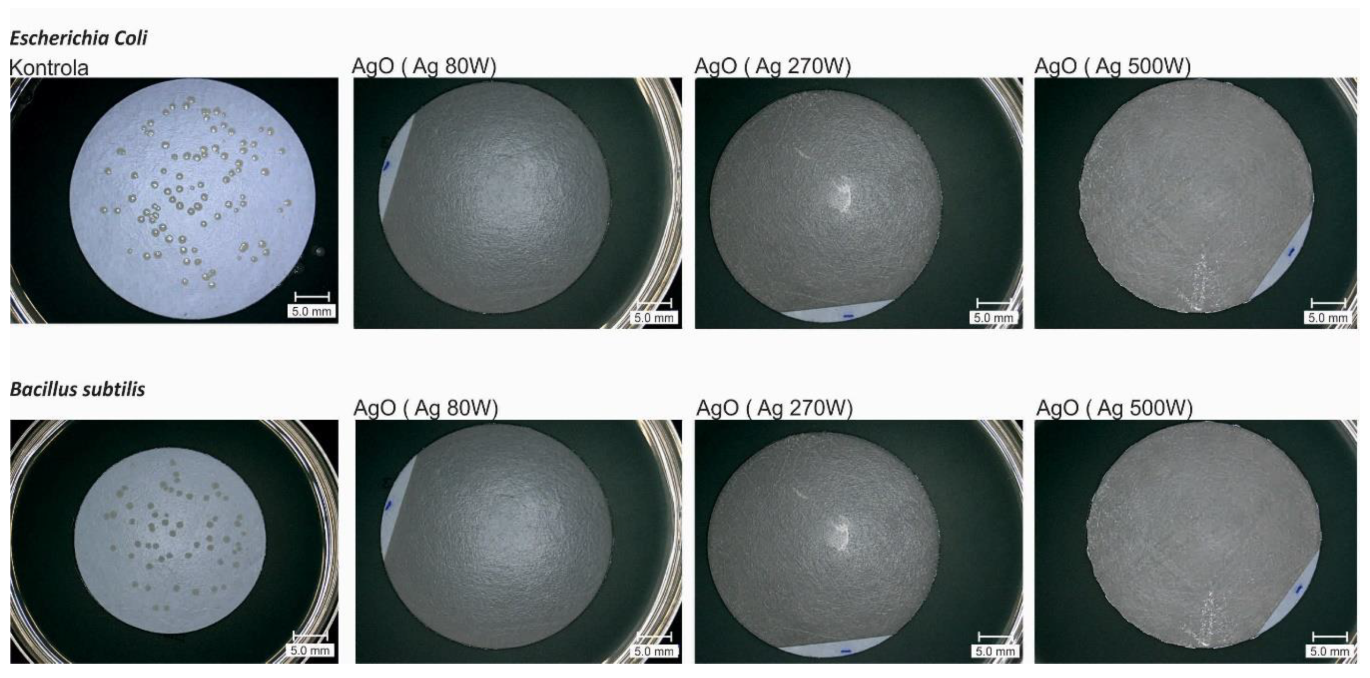 Membranes 10 00133 g002 Membranes 10 00133 g002