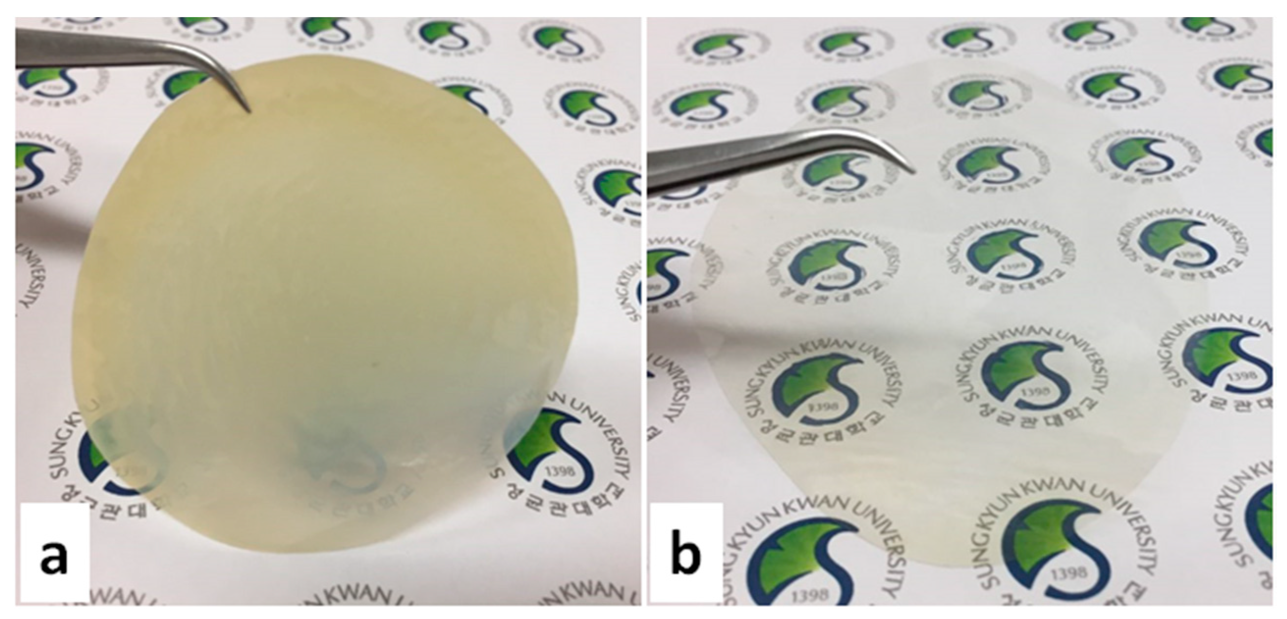 Membranes 10 00138 g002 Membranes 10 00138 g002