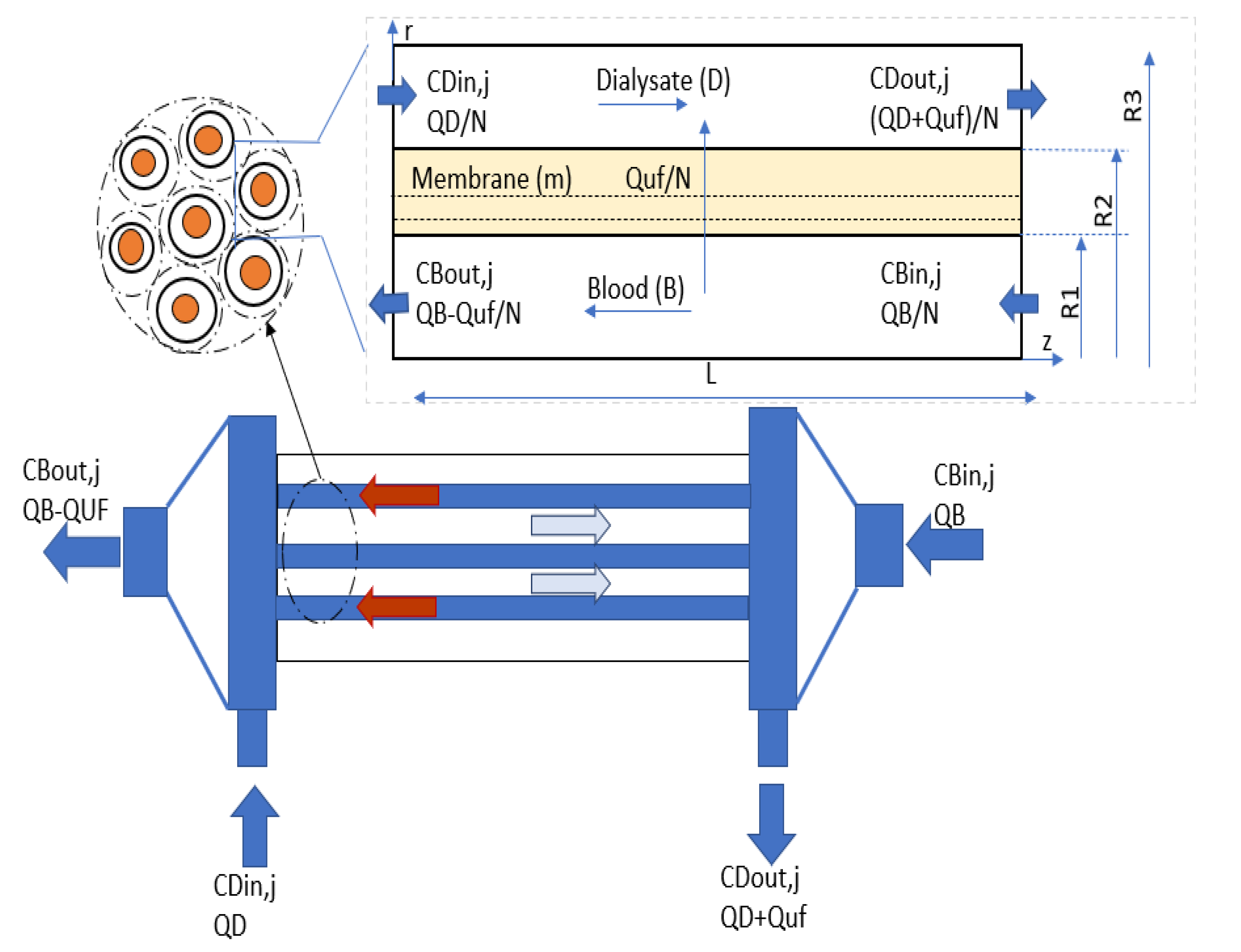 Membranes 10 00139 g001