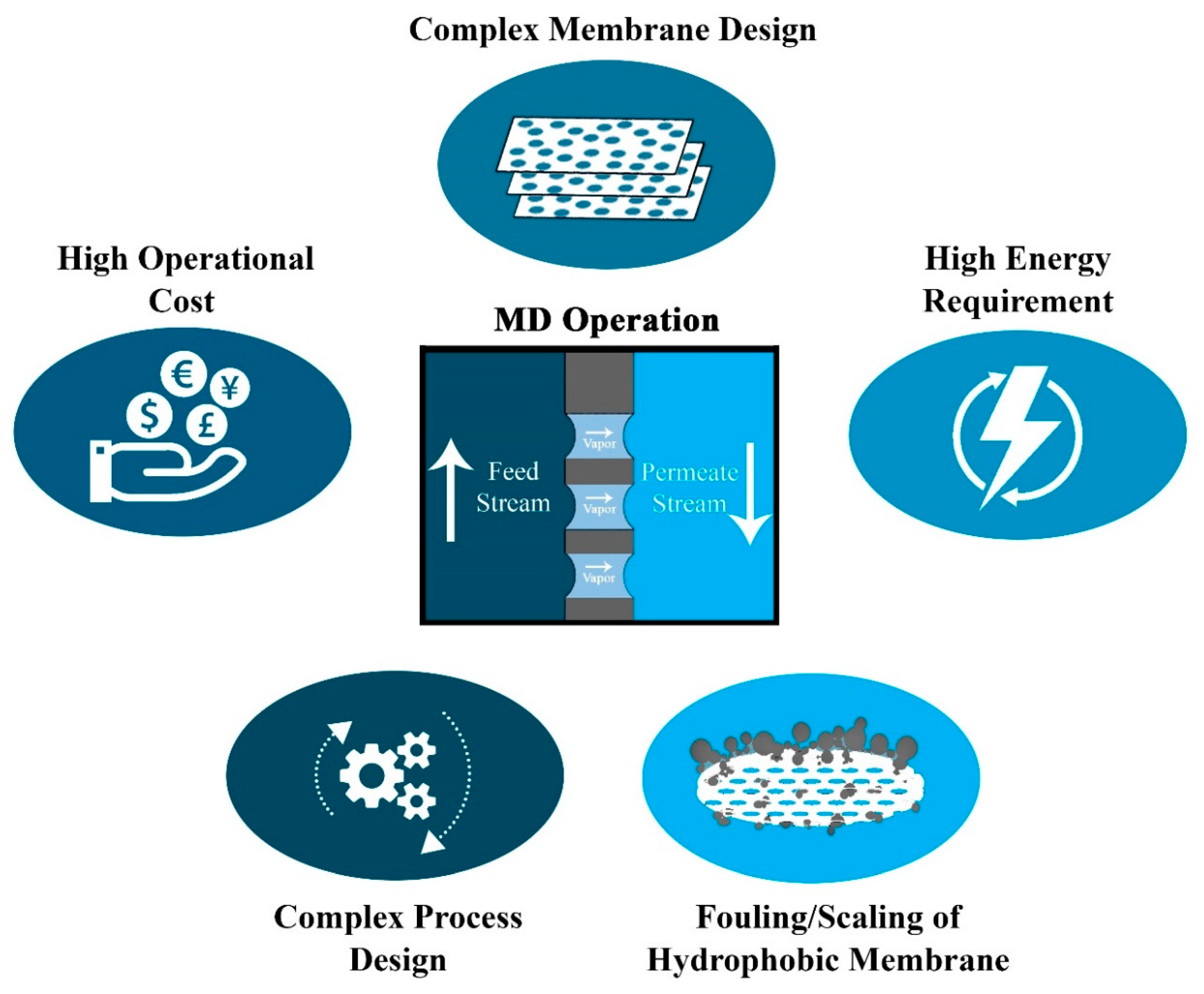 Membranes 10 00140 g001 Membranes 10 00140 g001