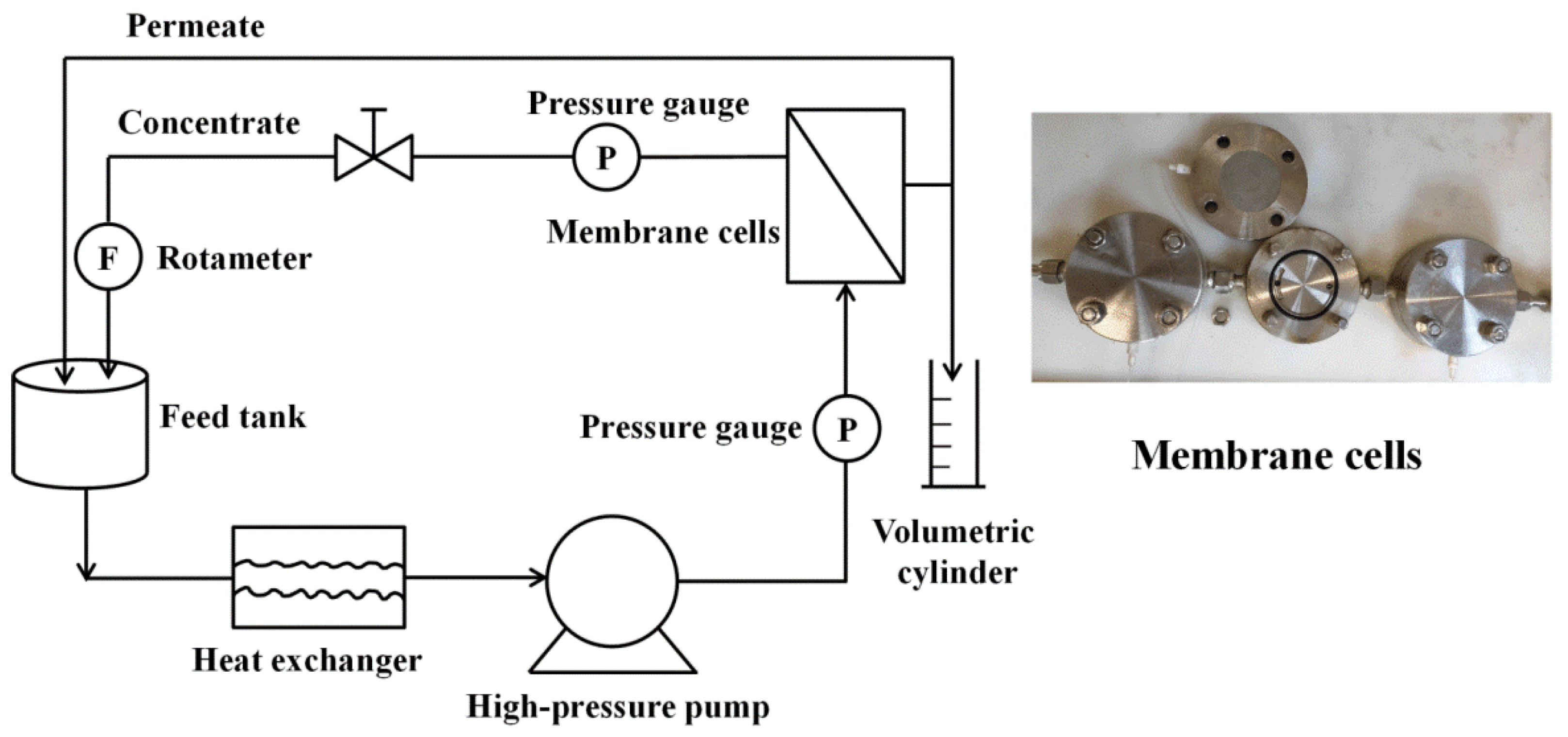 Membranes 10 00142 g001