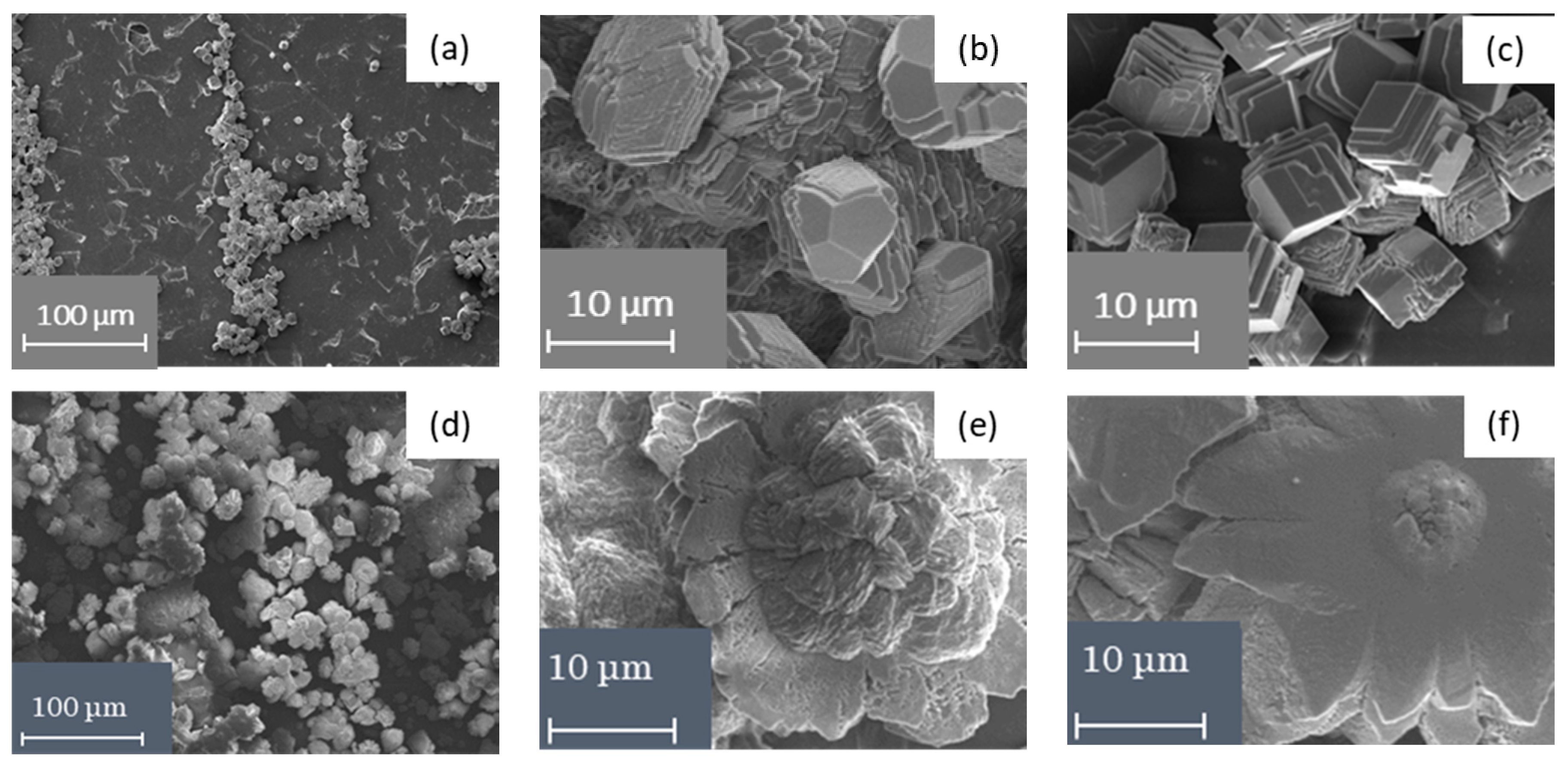 Membranes 10 00145 g007