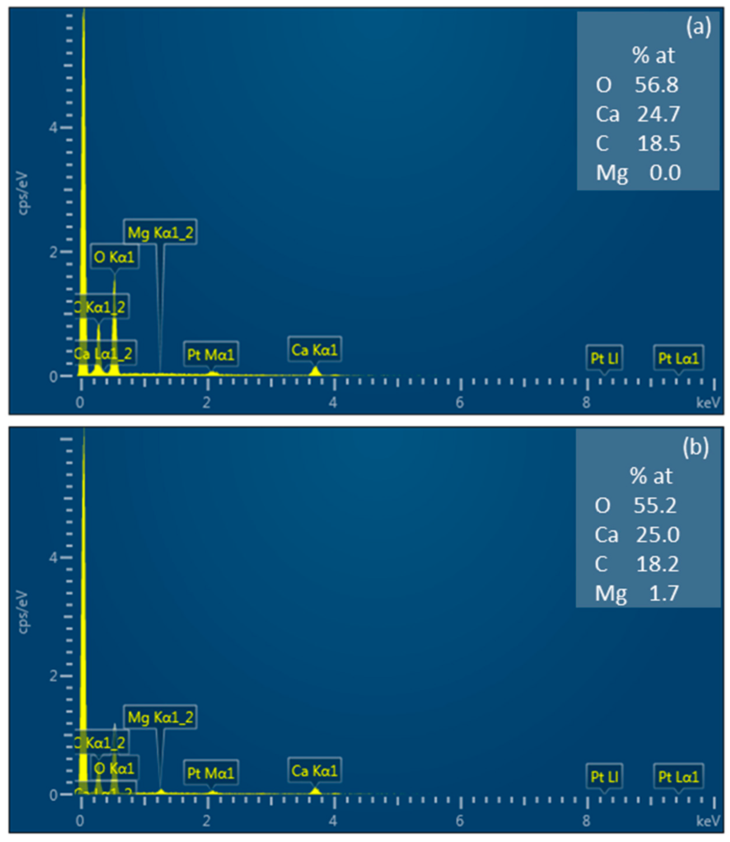 Membranes 10 00145 g008