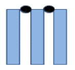 Membranes 10 00149 i002