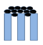 Membranes 10 00149 i005