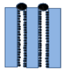 Membranes 10 00149 i007
