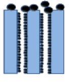 Membranes 10 00149 i008