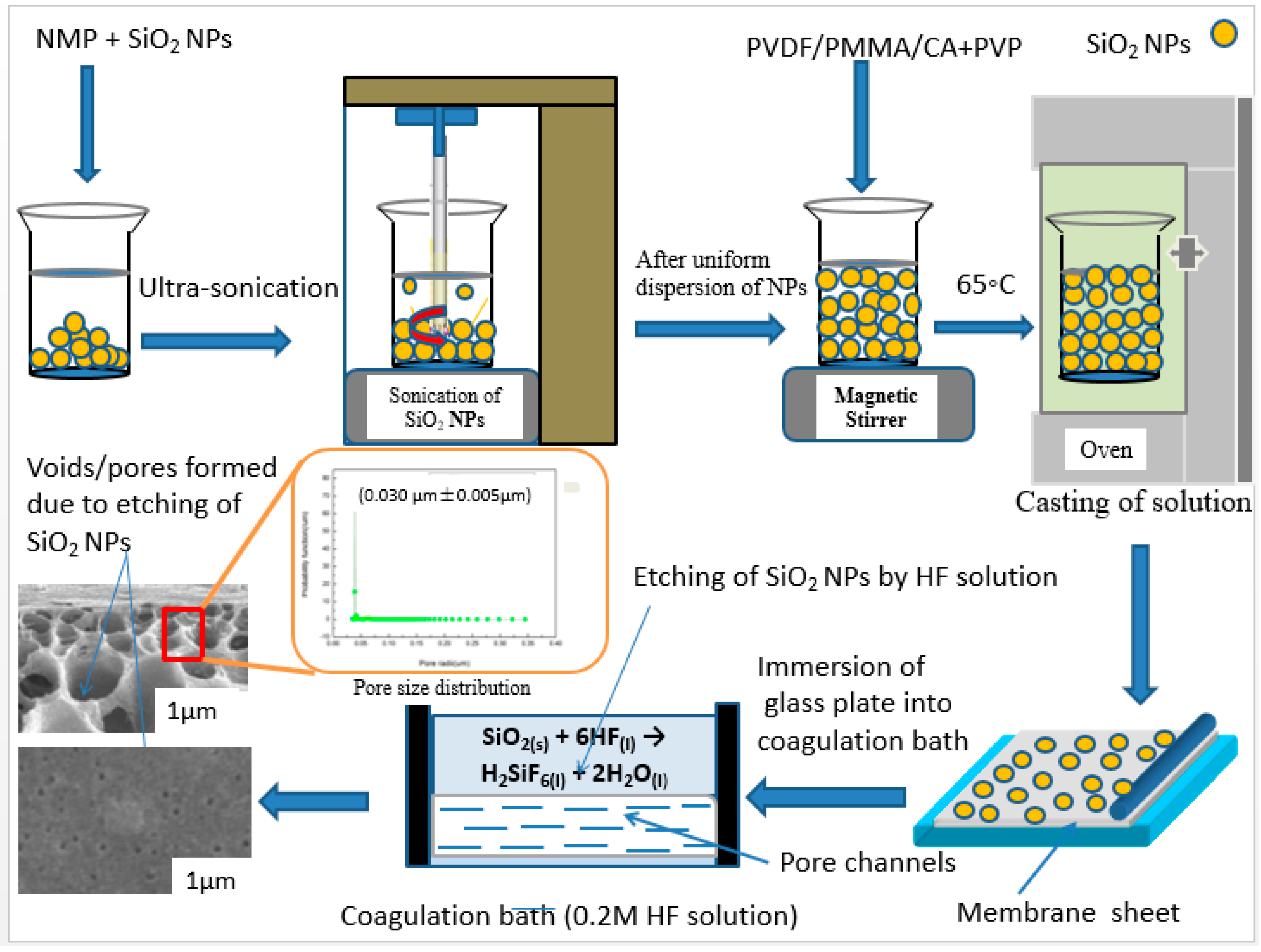 Membranes 10 00150 g001