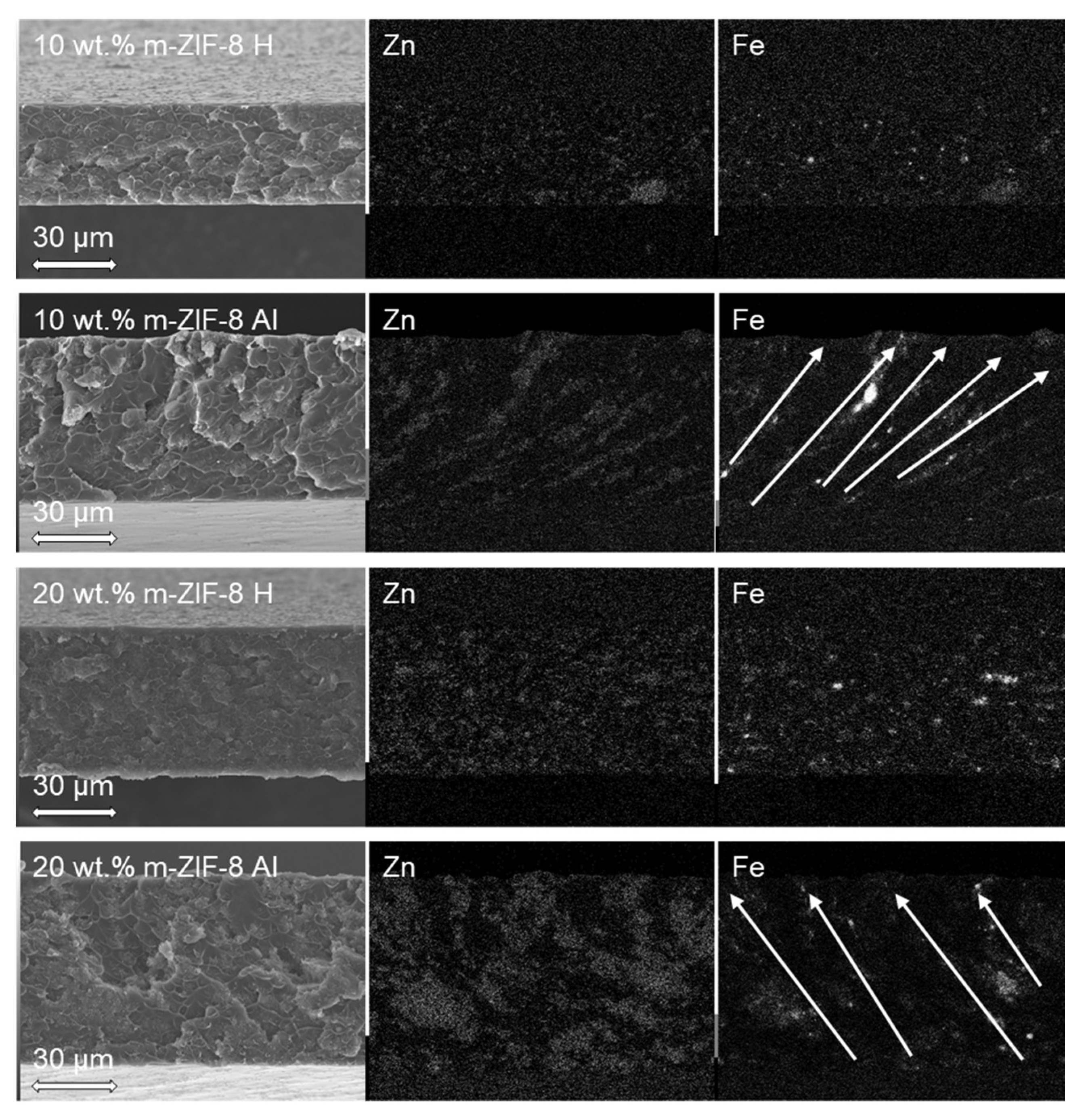 Membranes 10 00155 g008
