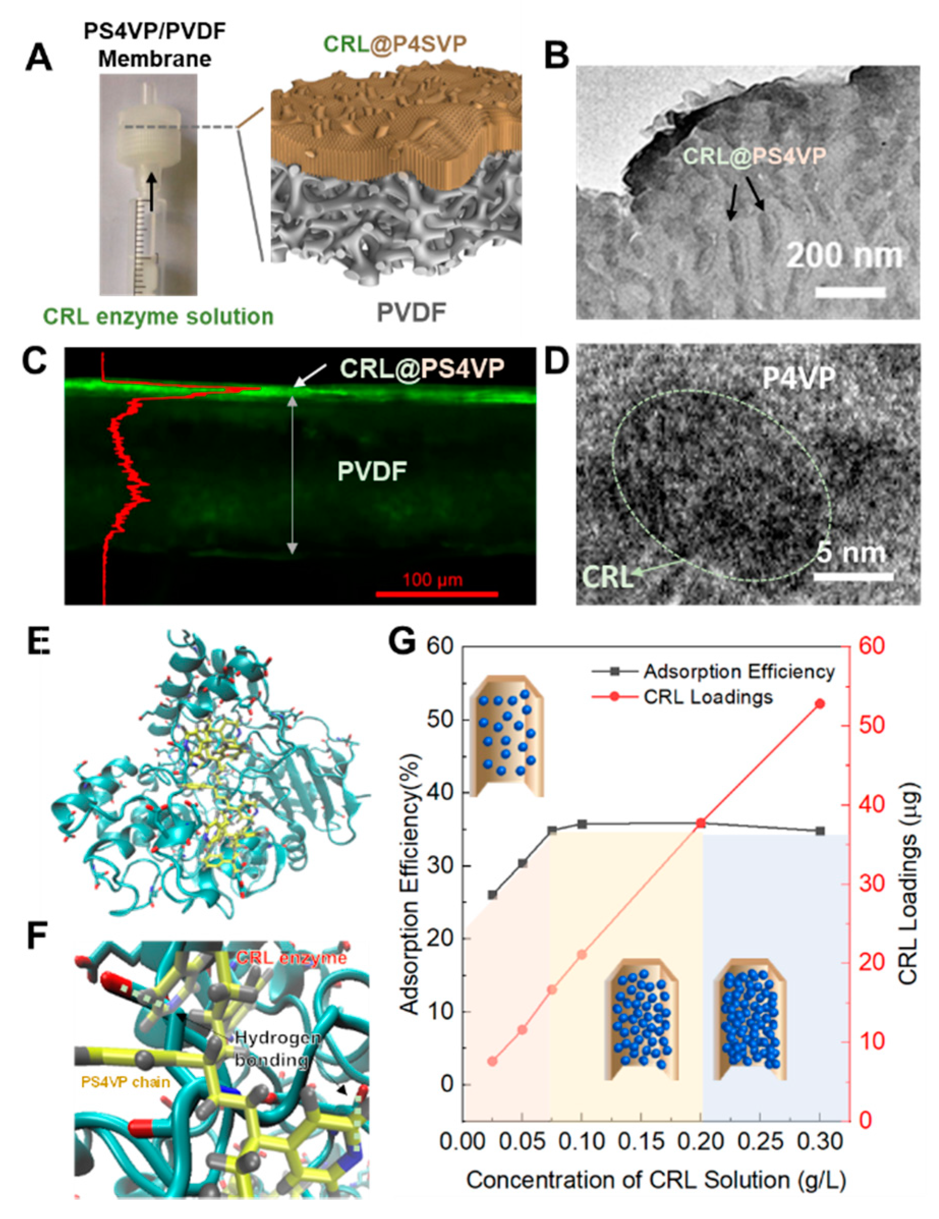 Membranes 10 00162 g003 Membranes 10 00162 g003