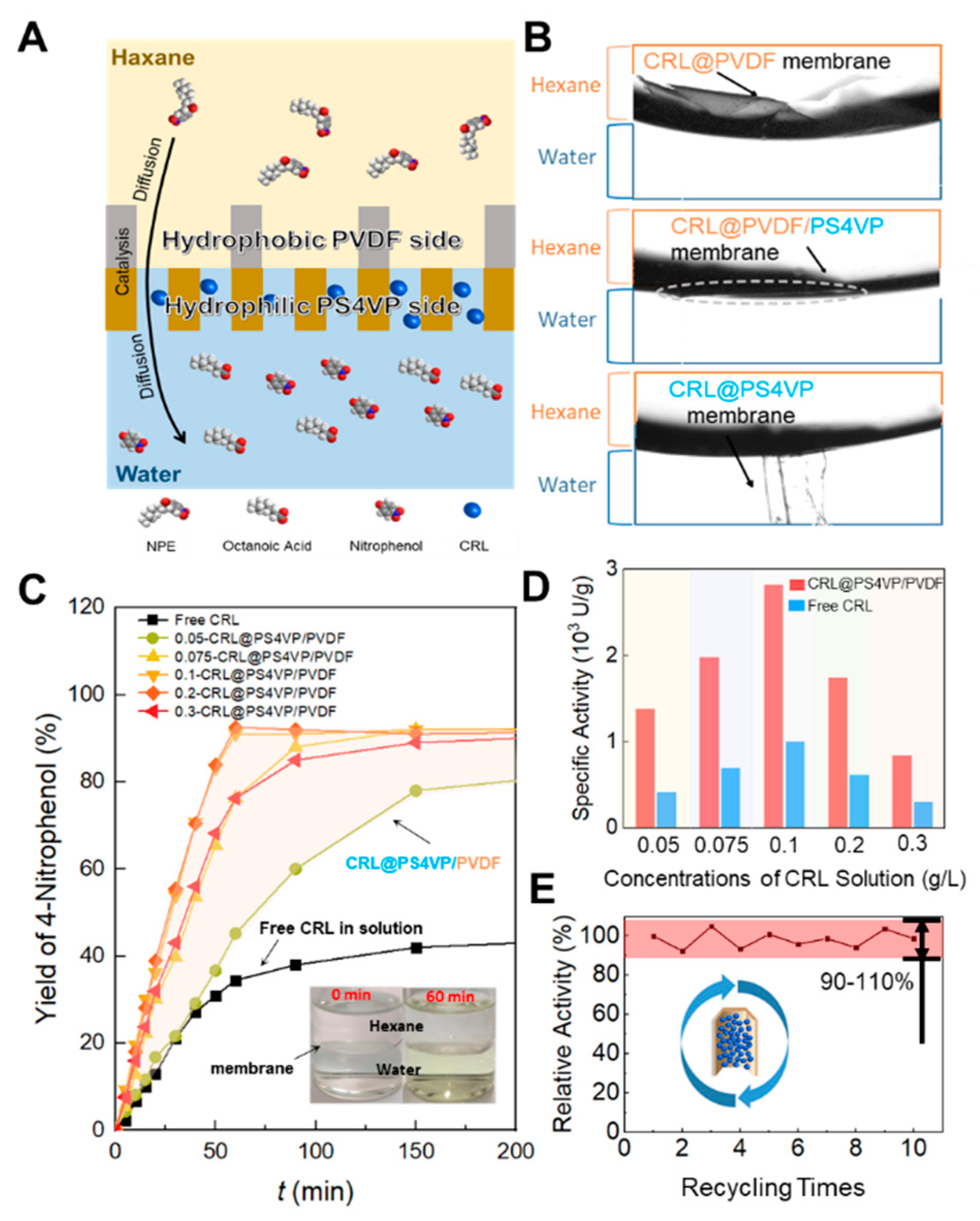 Membranes 10 00162 g005 Membranes 10 00162 g005