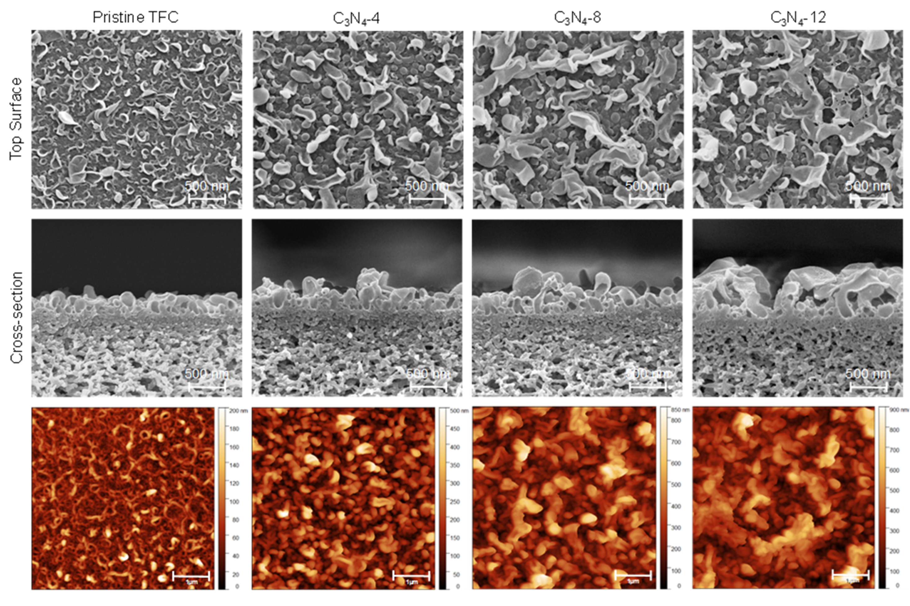Membranes 10 00163 g002