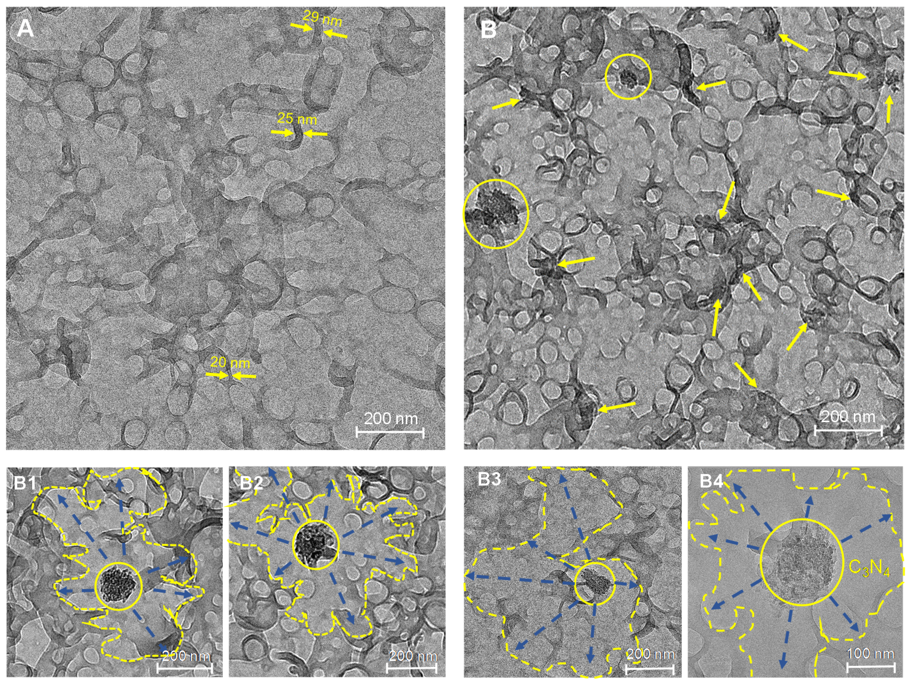 Membranes 10 00163 g003