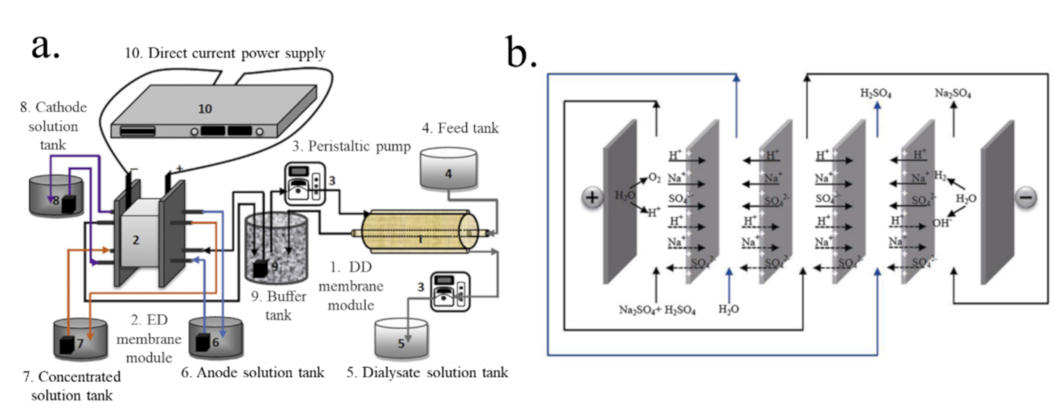 Membranes 10 00169 g009 Membranes 10 00169 g009