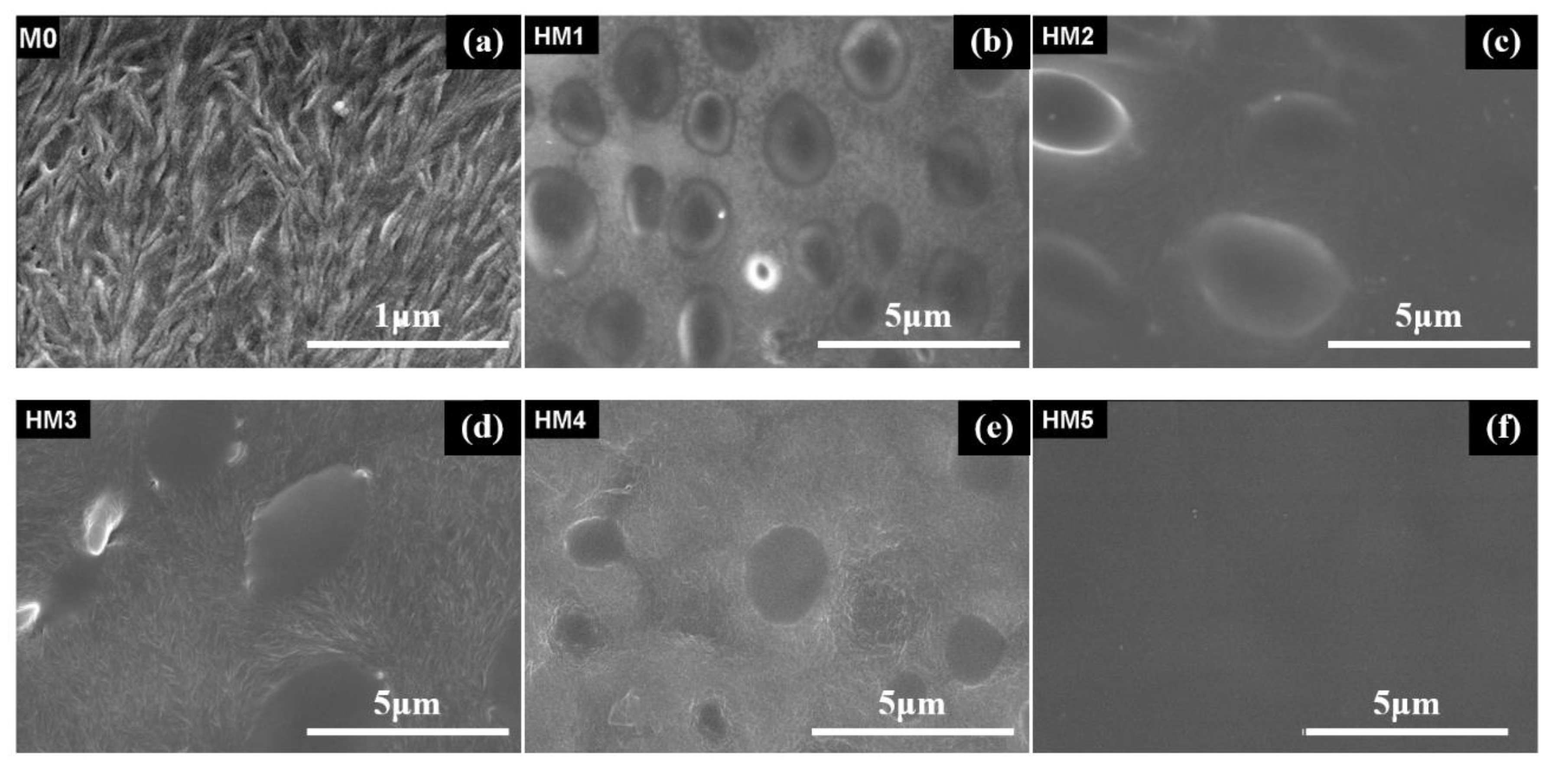 Membranes 10 00174 g003 Membranes 10 00174 g003