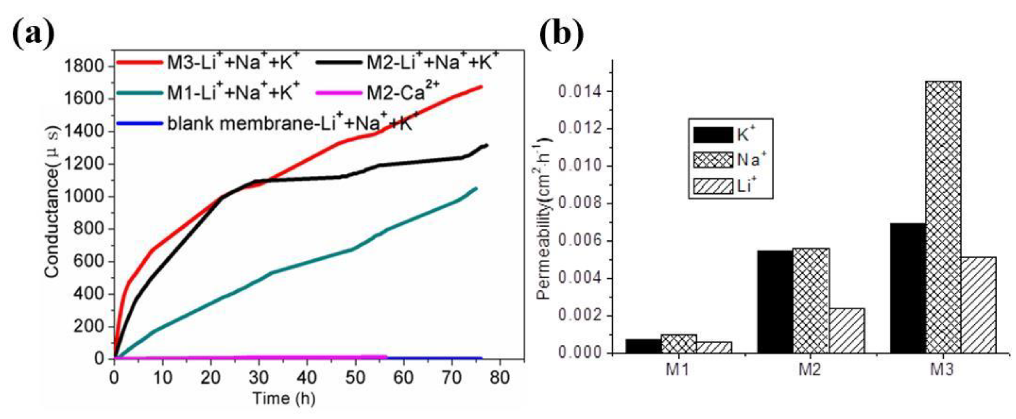 Membranes 10 00174 g009 Membranes 10 00174 g009