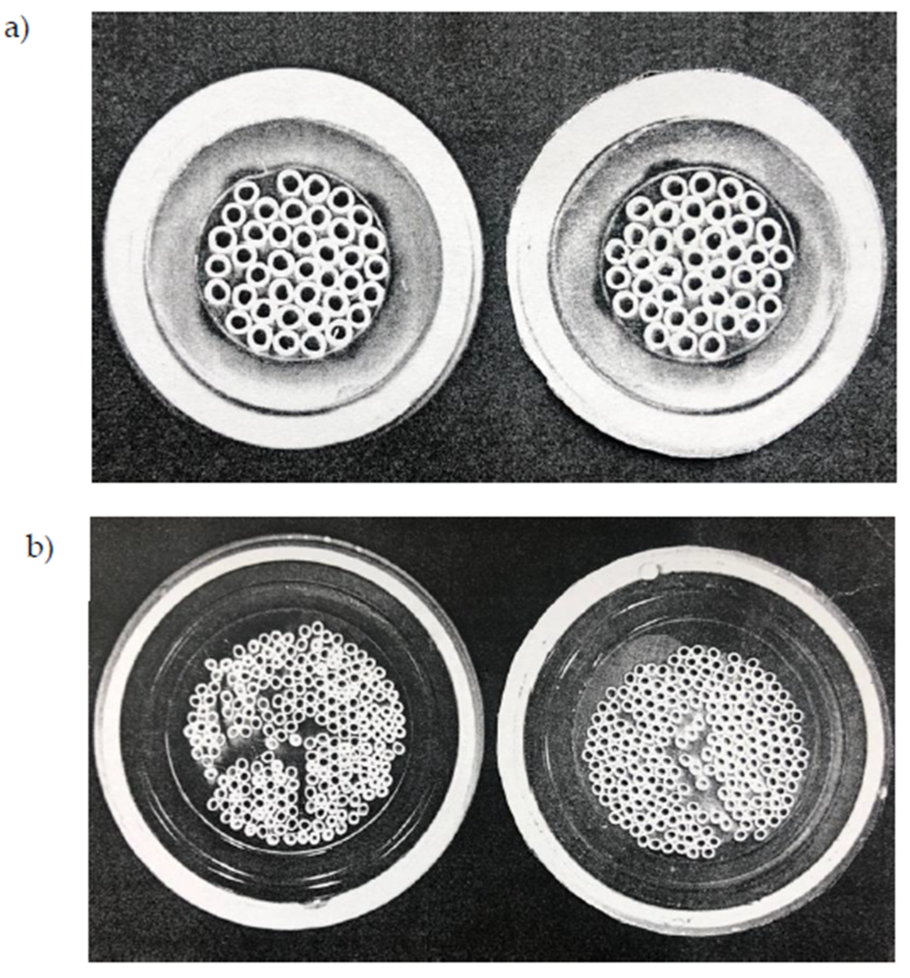 Membranes 10 00176 g005