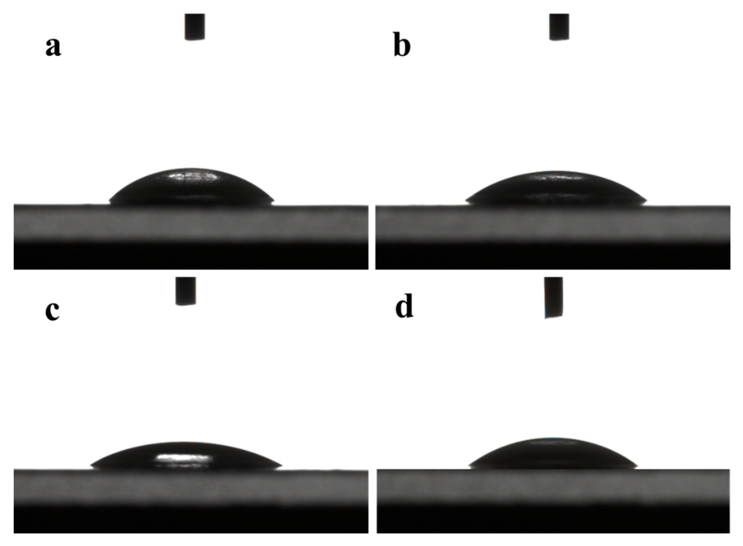 Membranes 10 00178 g003