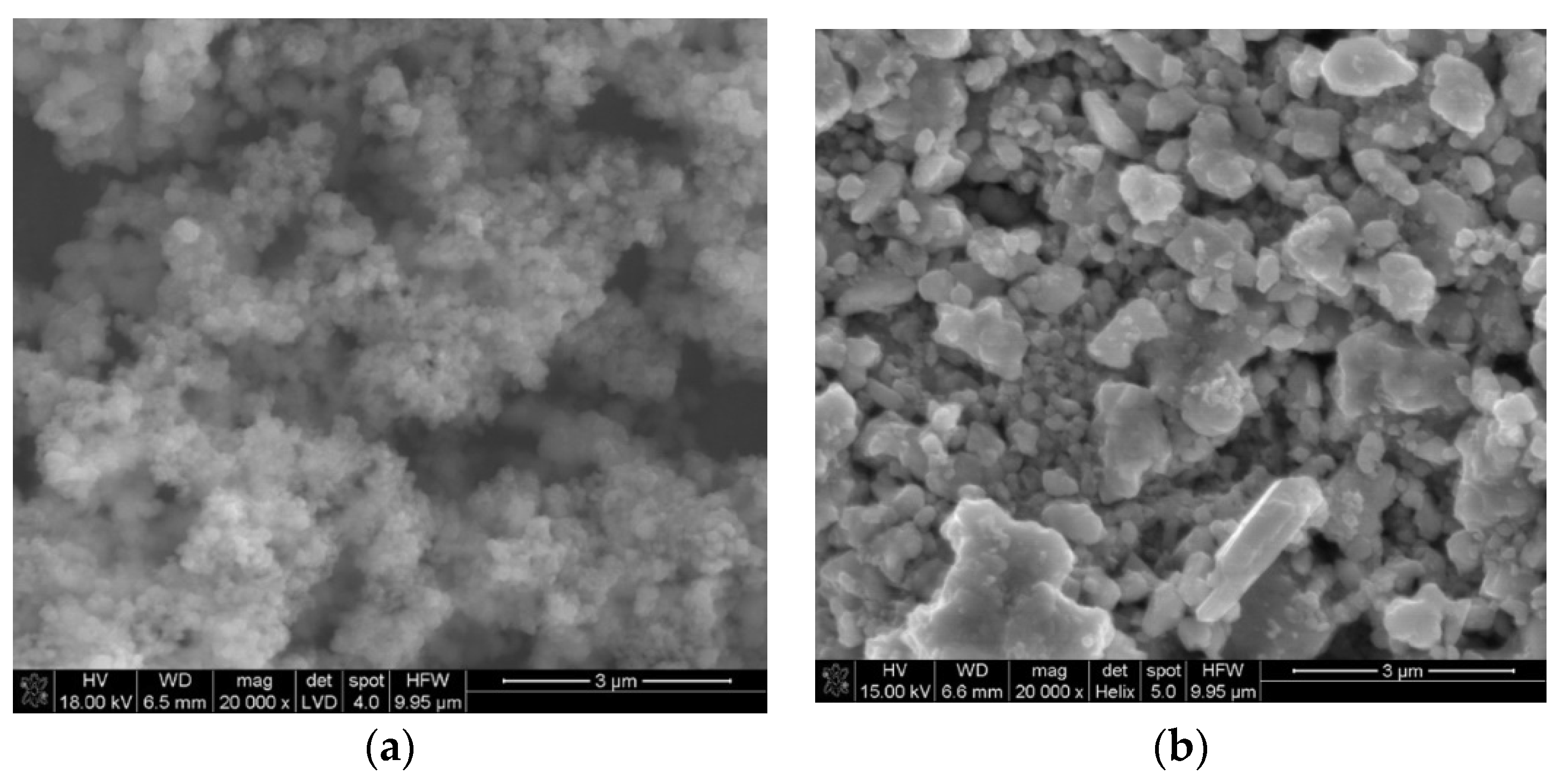 Membranes 10 00182 g001