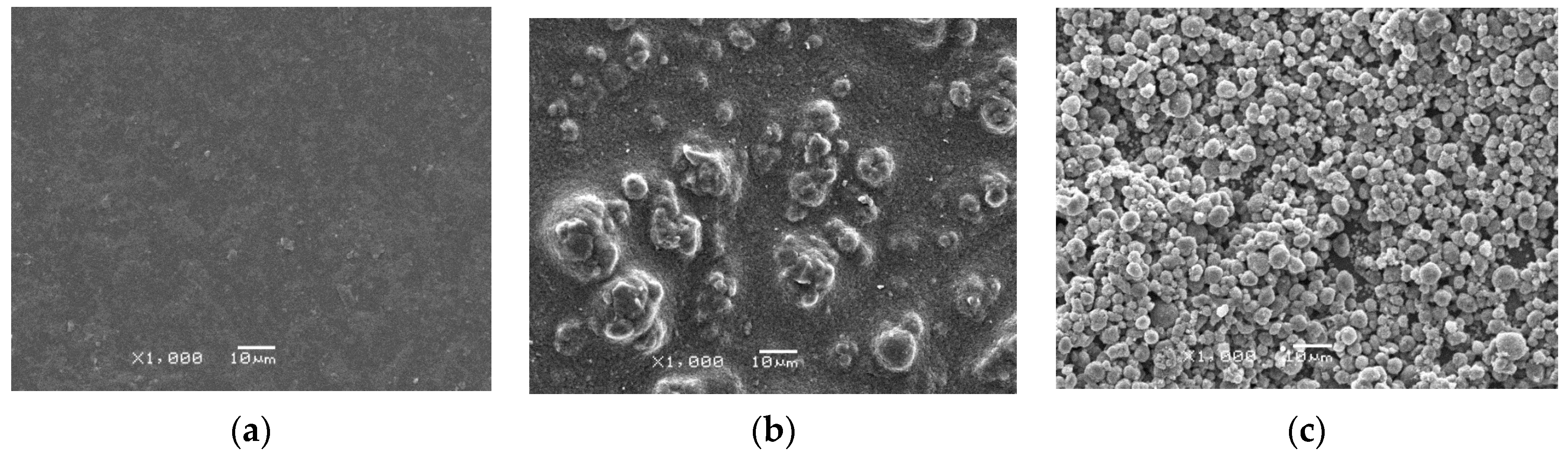Membranes 10 00185 g005 Membranes 10 00185 g005