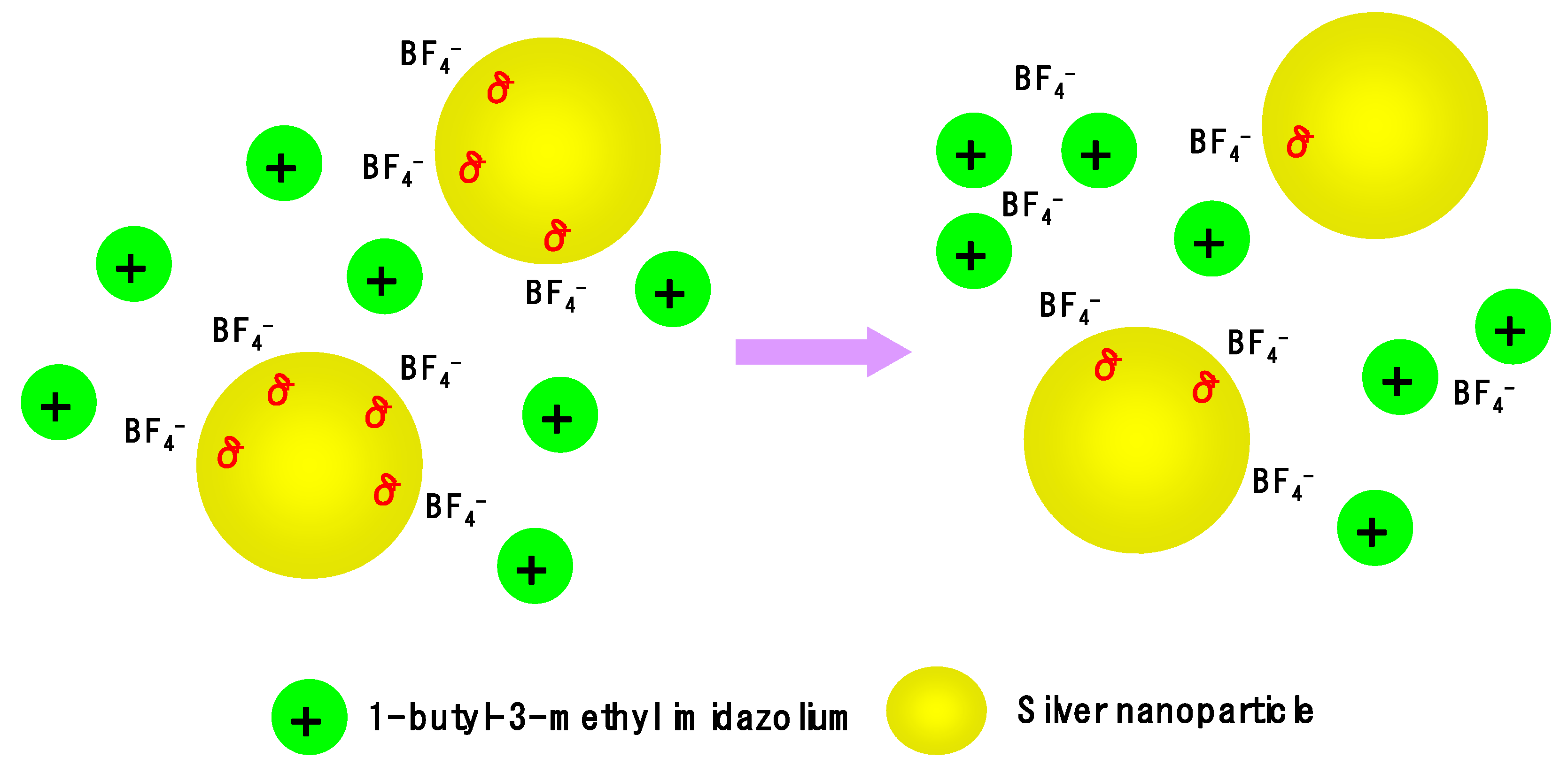 Membranes 10 00191 sch001 Membranes 10 00191 sch001