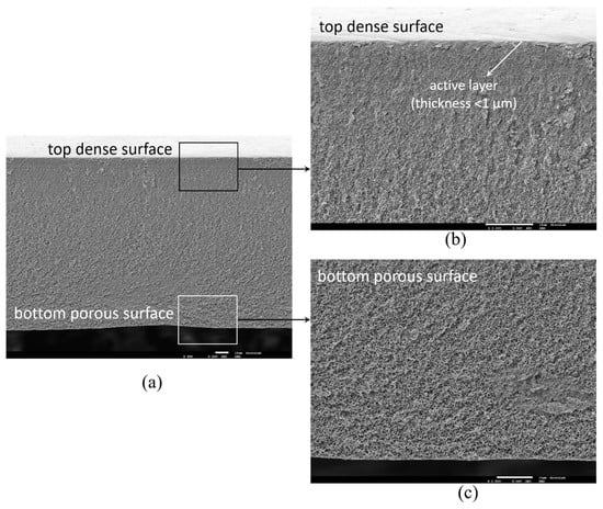 Membranes 10 00195 g0a10