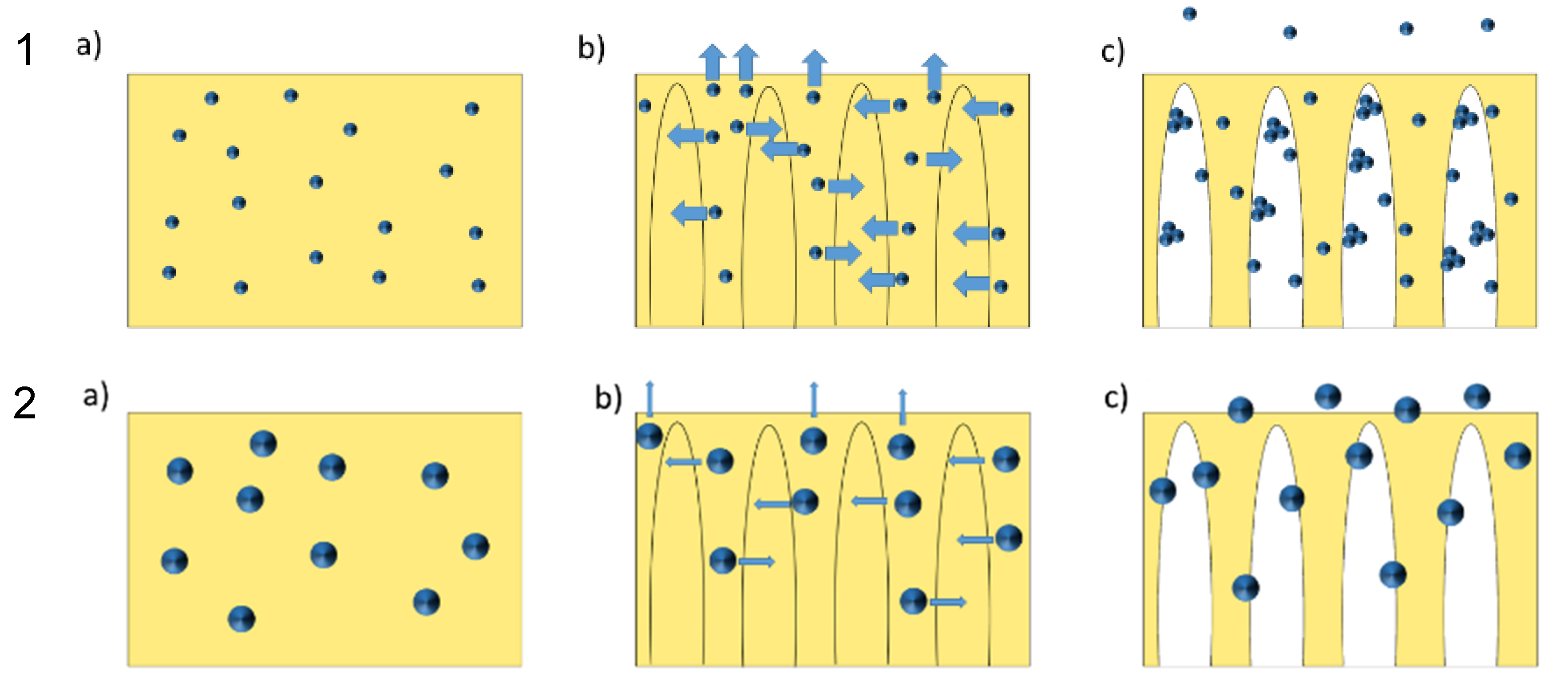 Membranes 10 00197 g005