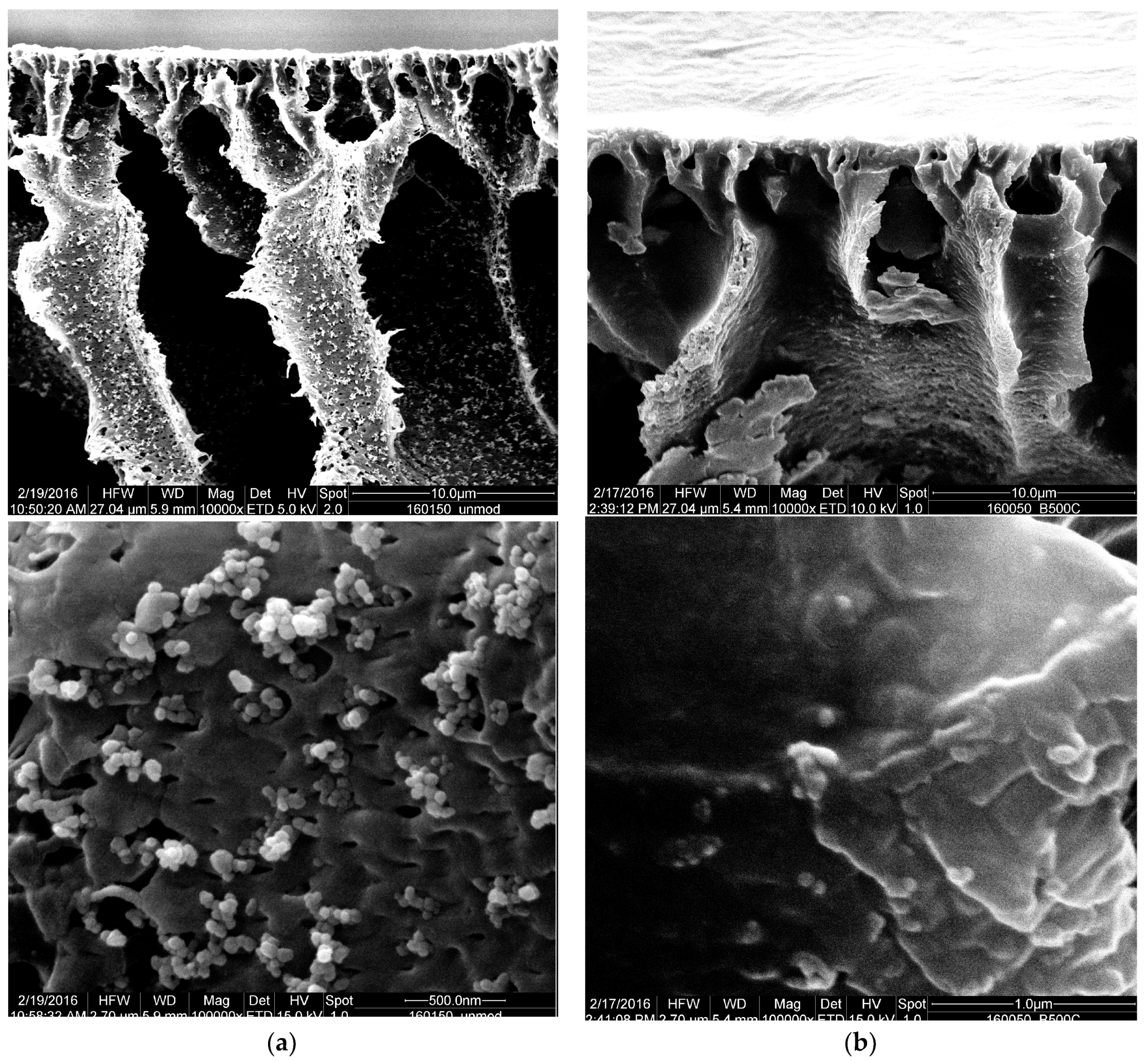 Membranes 10 00197 g009