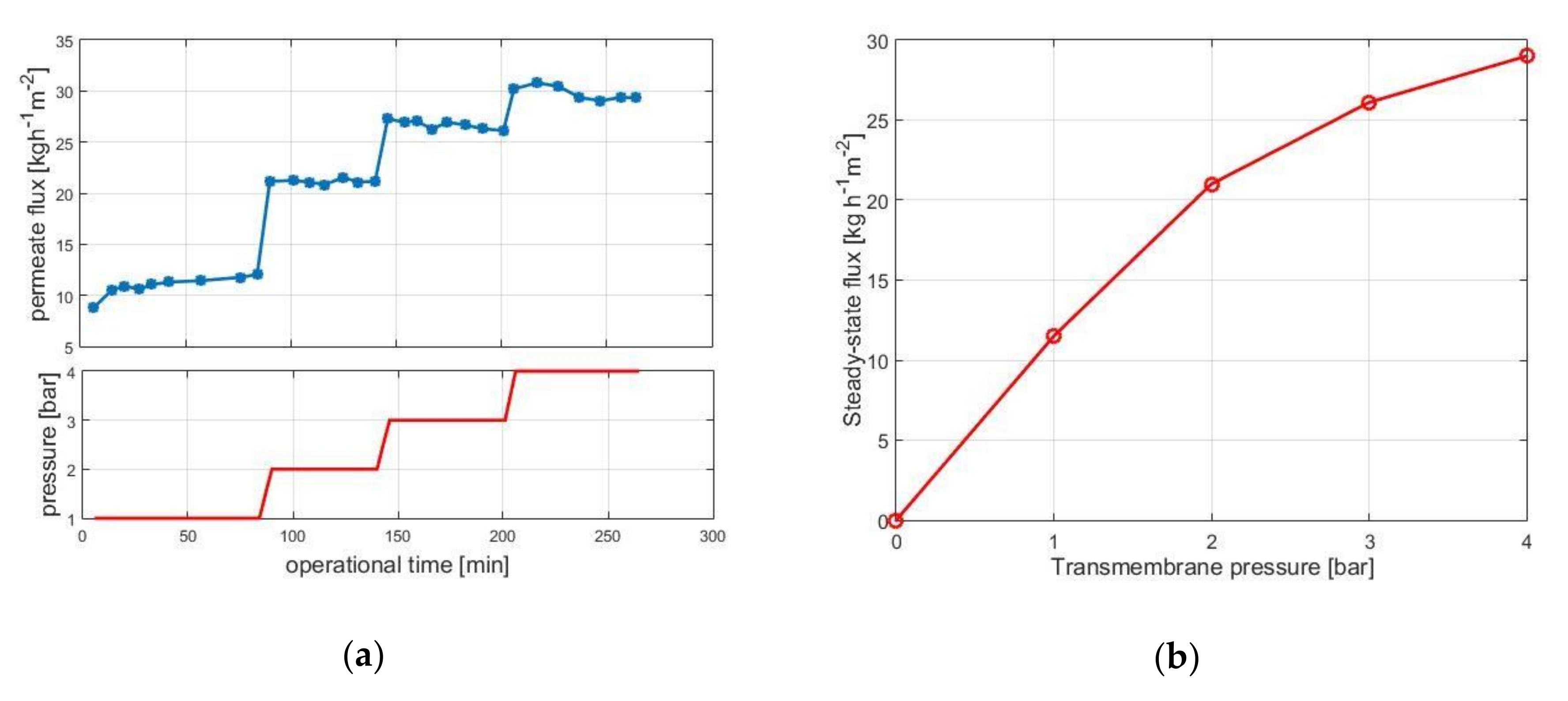Membranes 10 00203 g002