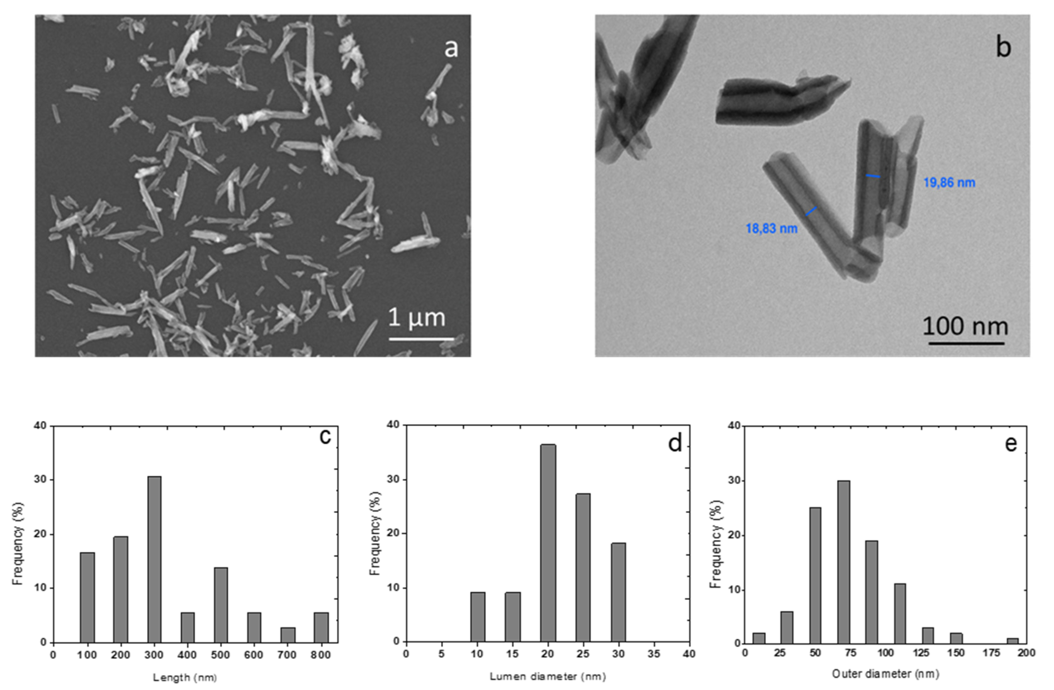 Membranes 10 00208 g001