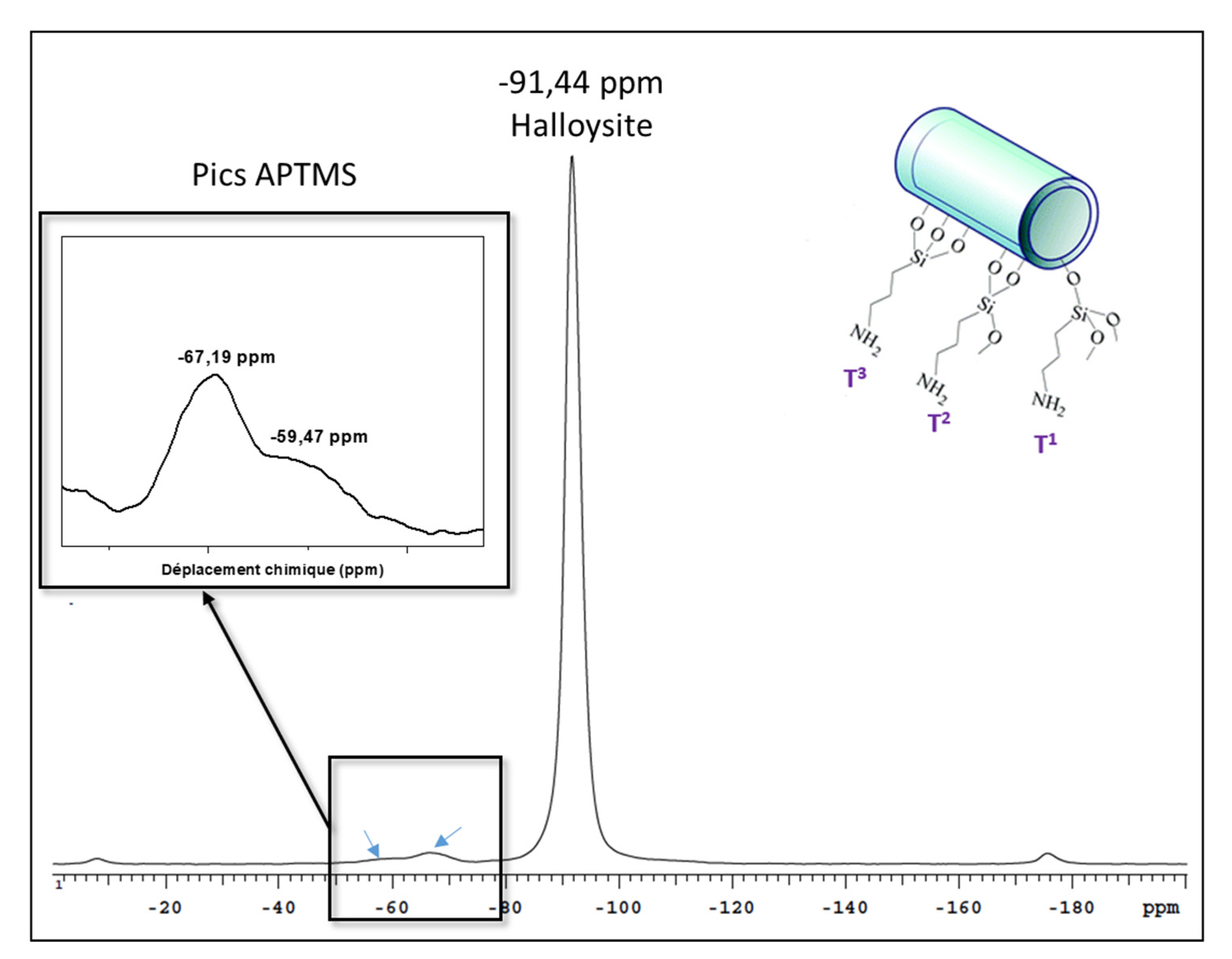 Membranes 10 00208 g003