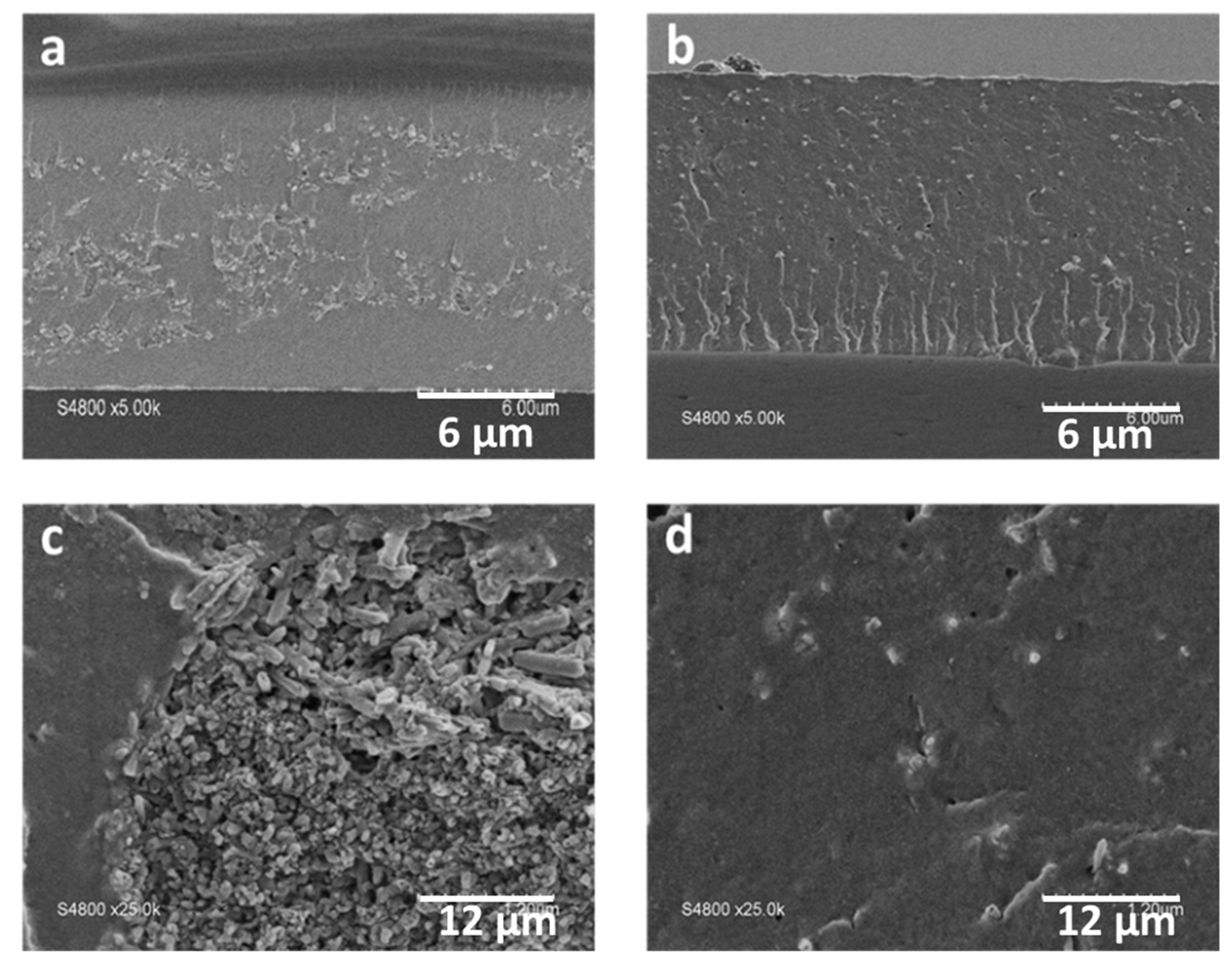 Membranes 10 00208 g005