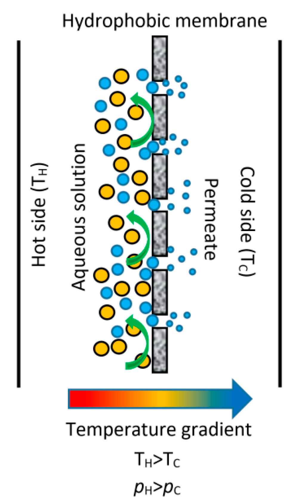 Membranes 10 00216 g002 Membranes 10 00216 g002