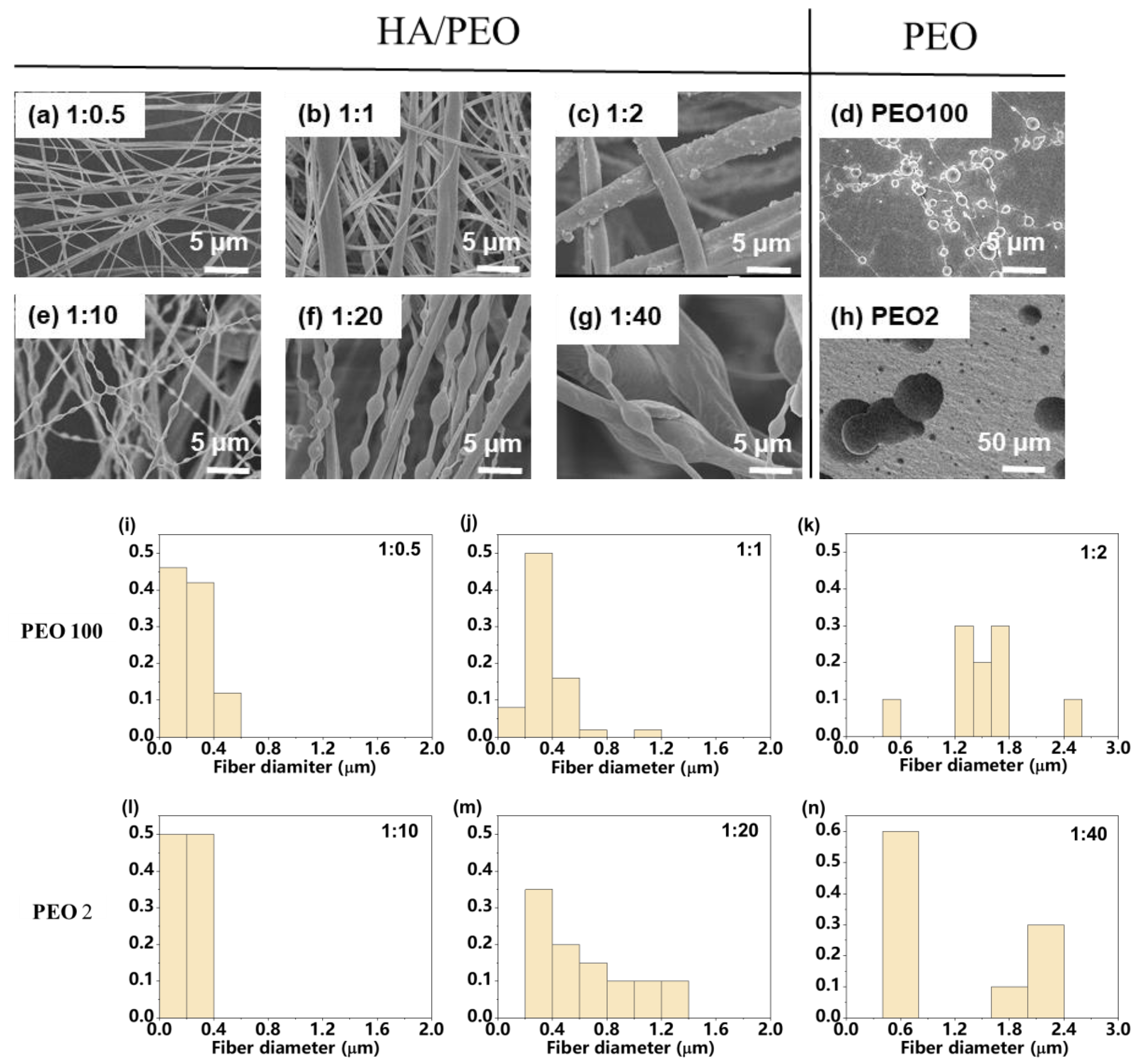 Membranes 10 00217 g001 Membranes 10 00217 g001