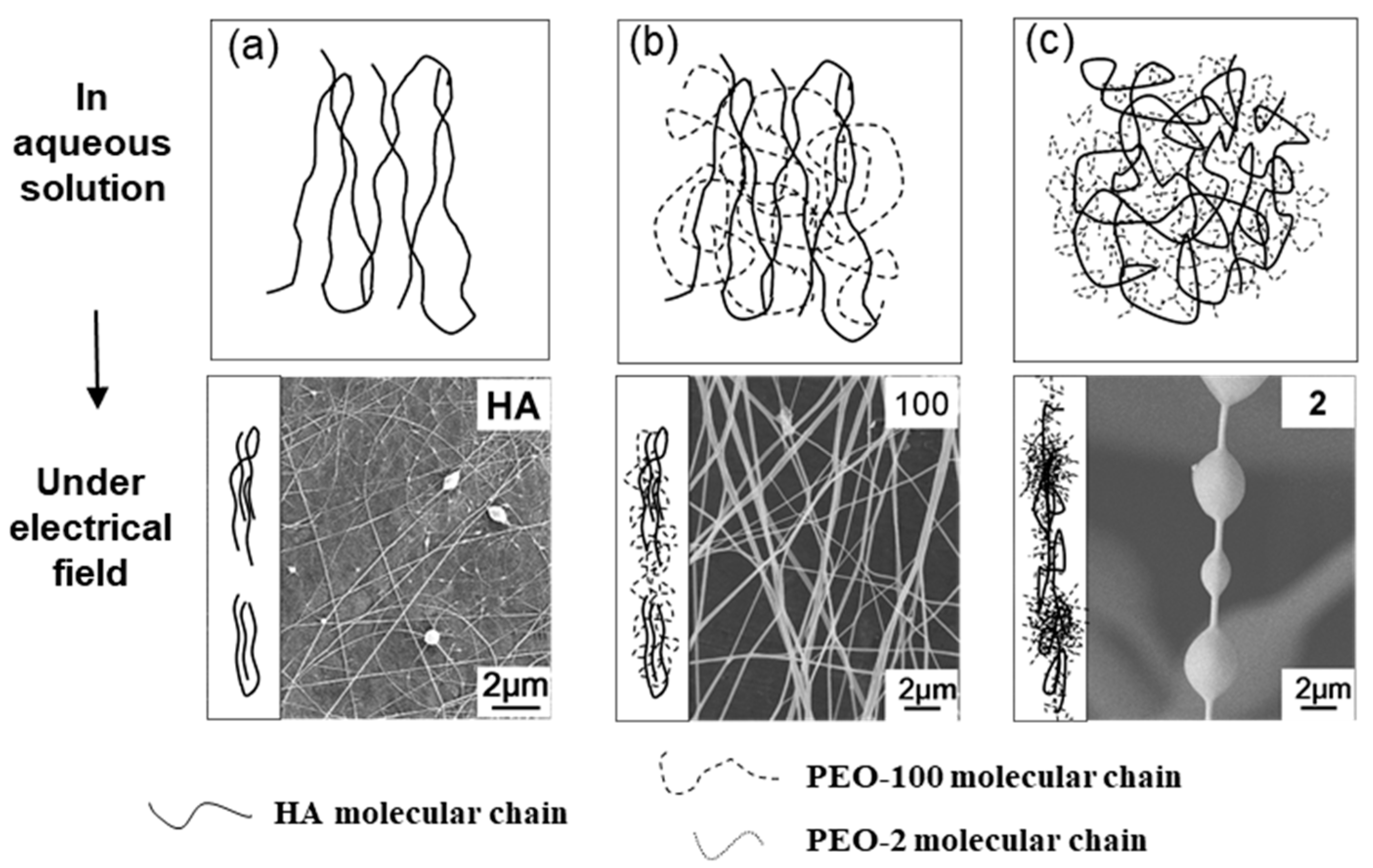 Membranes 10 00217 g005 Membranes 10 00217 g005