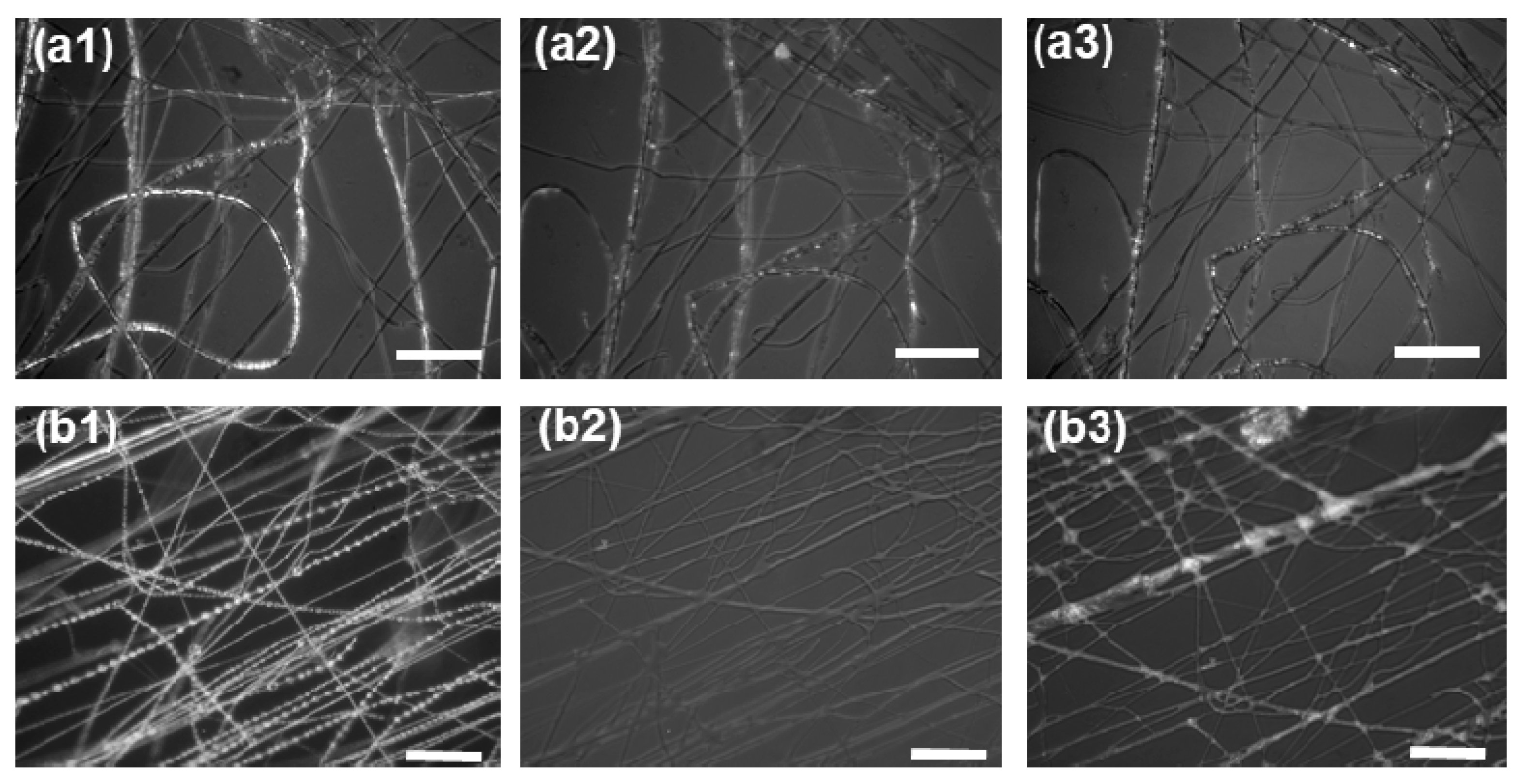 Membranes 10 00217 g006 Membranes 10 00217 g006