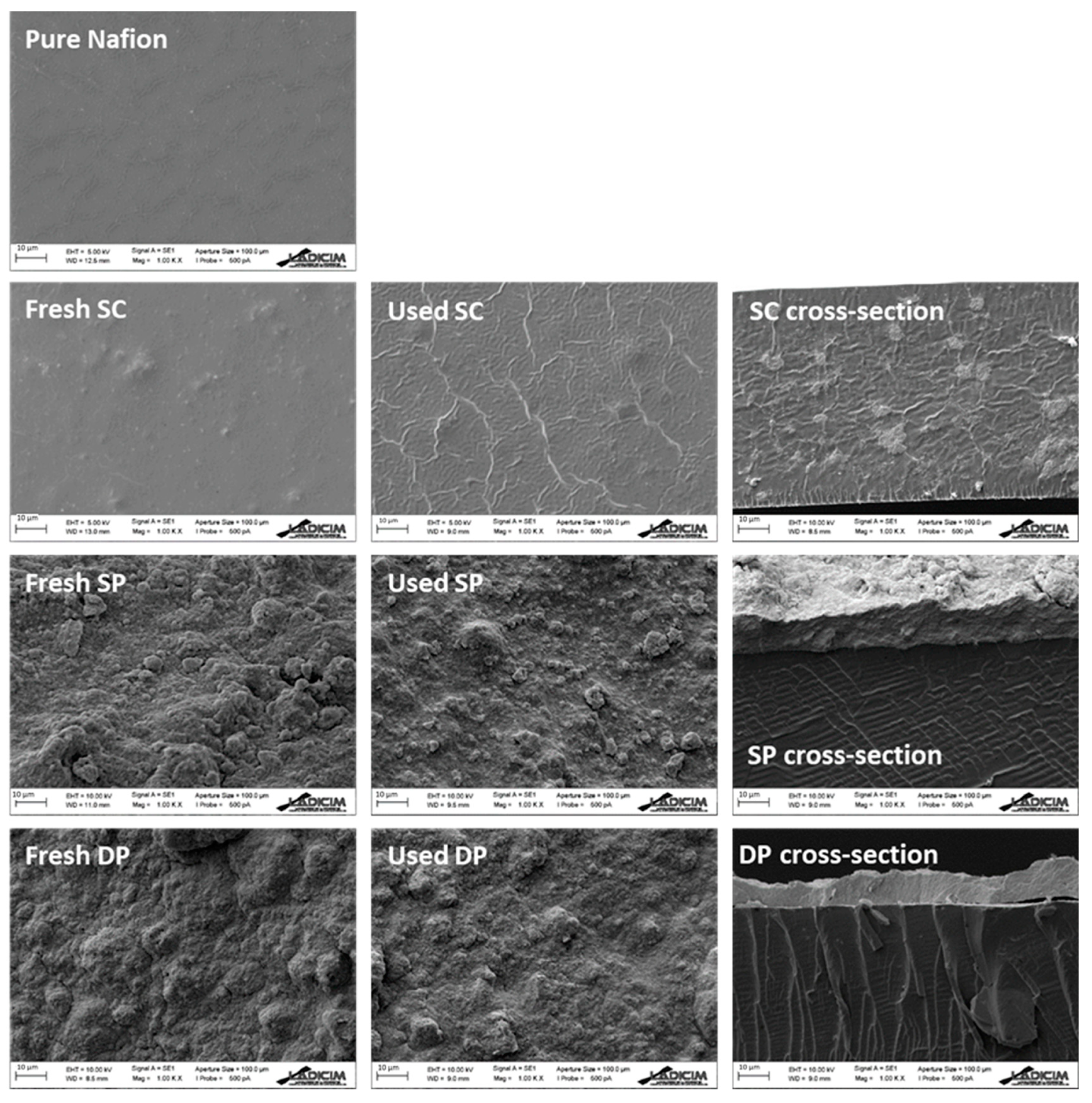 Membranes 10 00218 g004