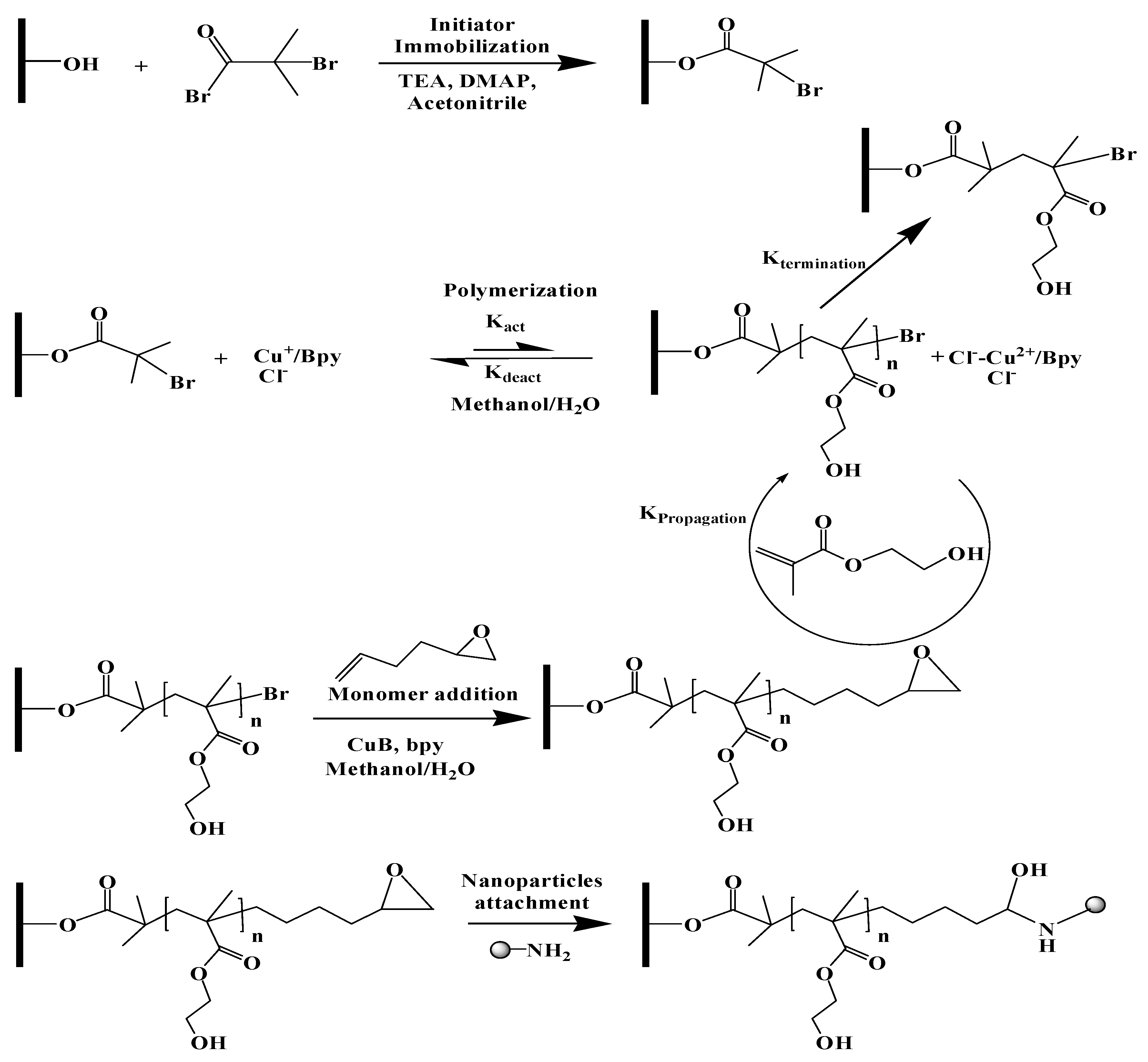 Membranes 10 00219 g001