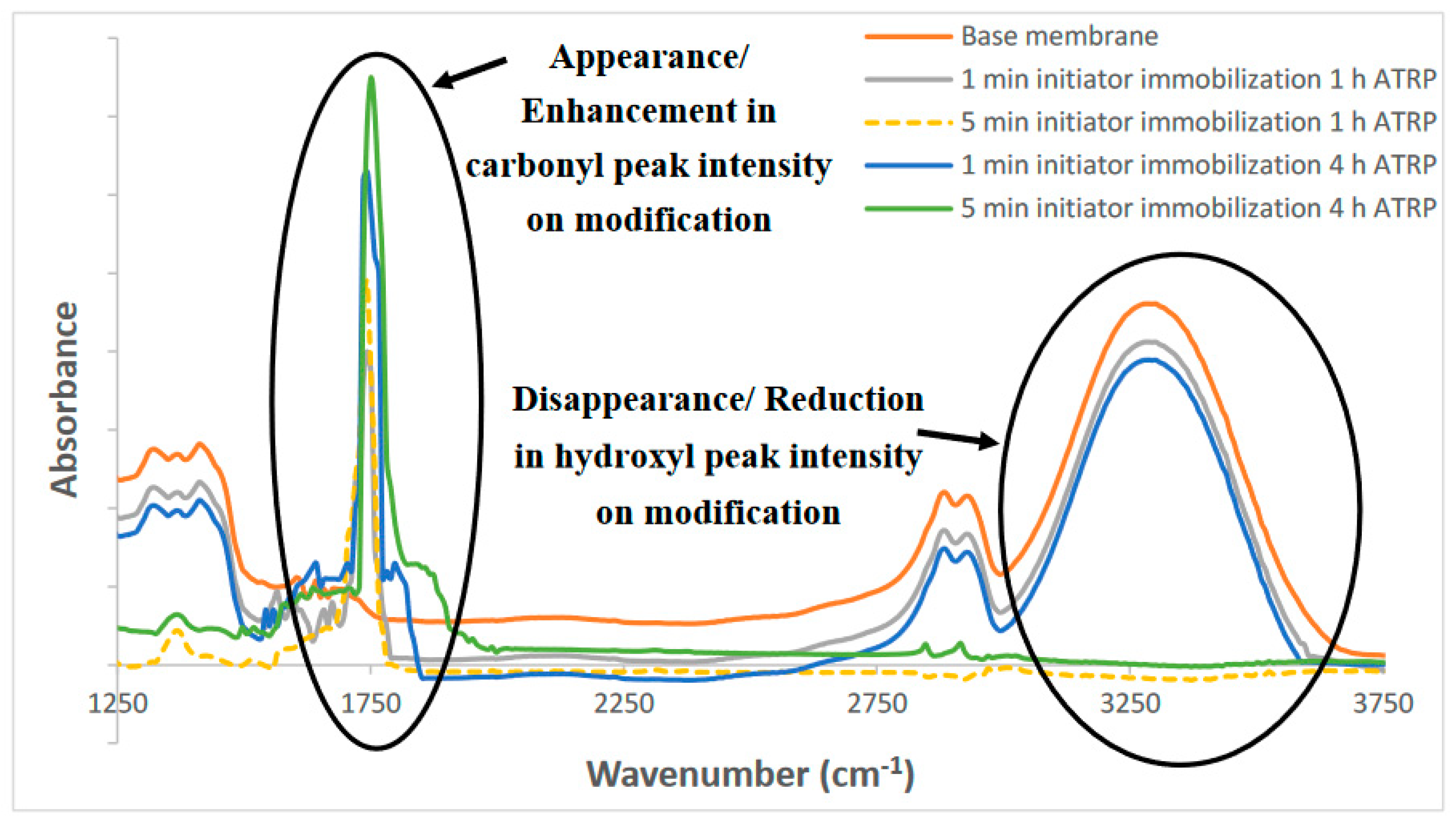 Membranes 10 00219 g002