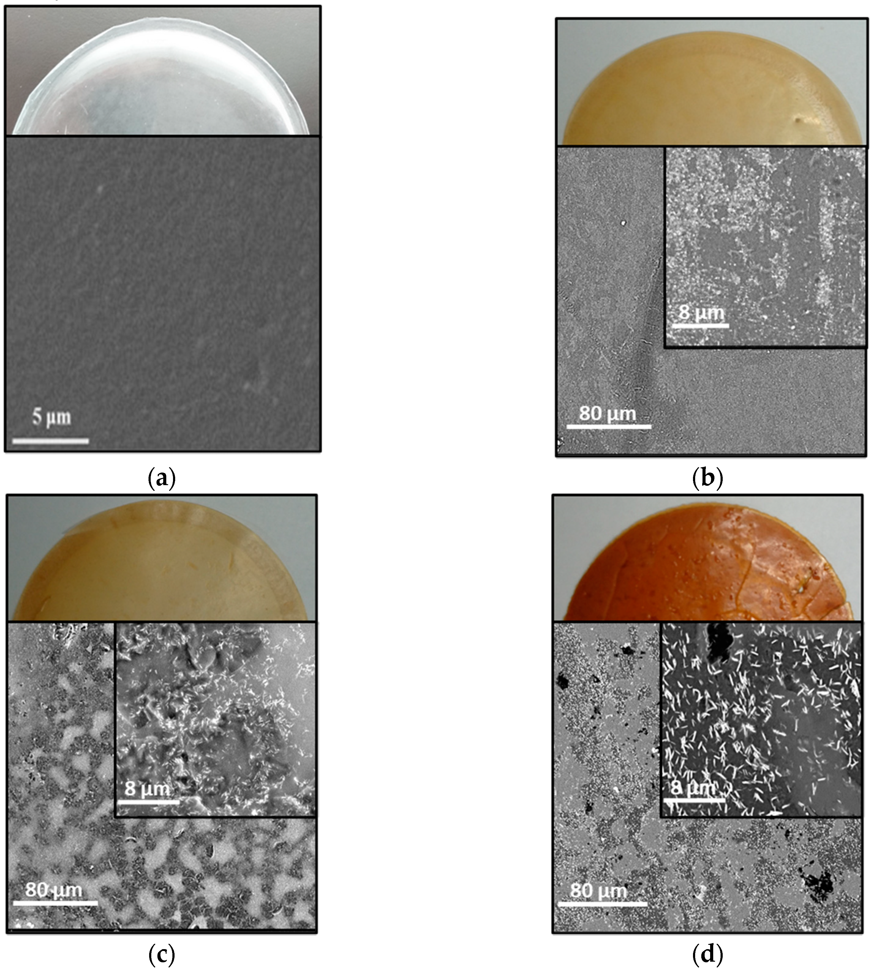 Membranes 10 00224 g002