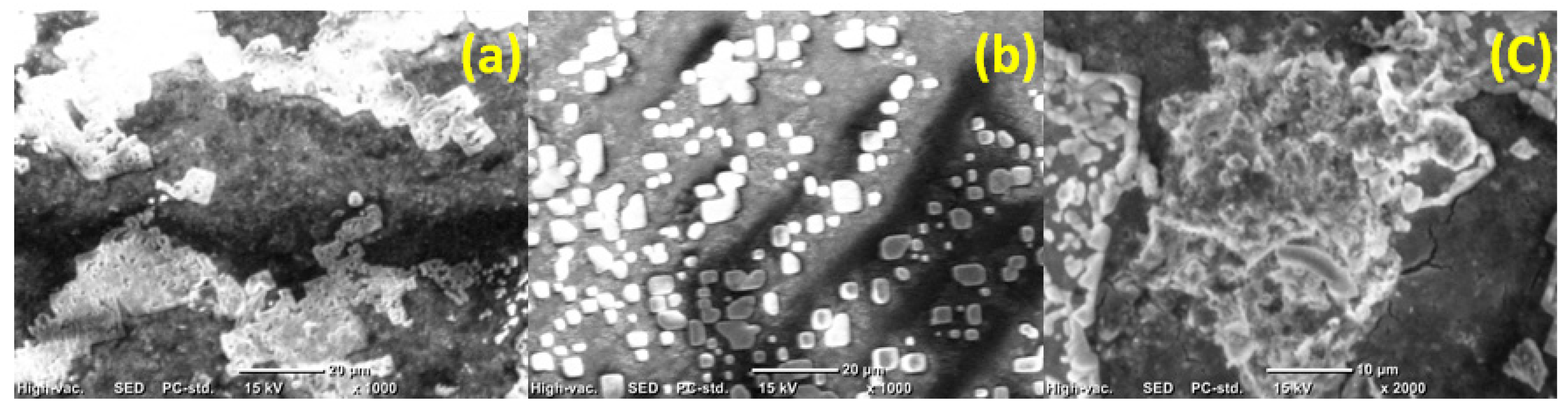 Membranes 10 00227 g004