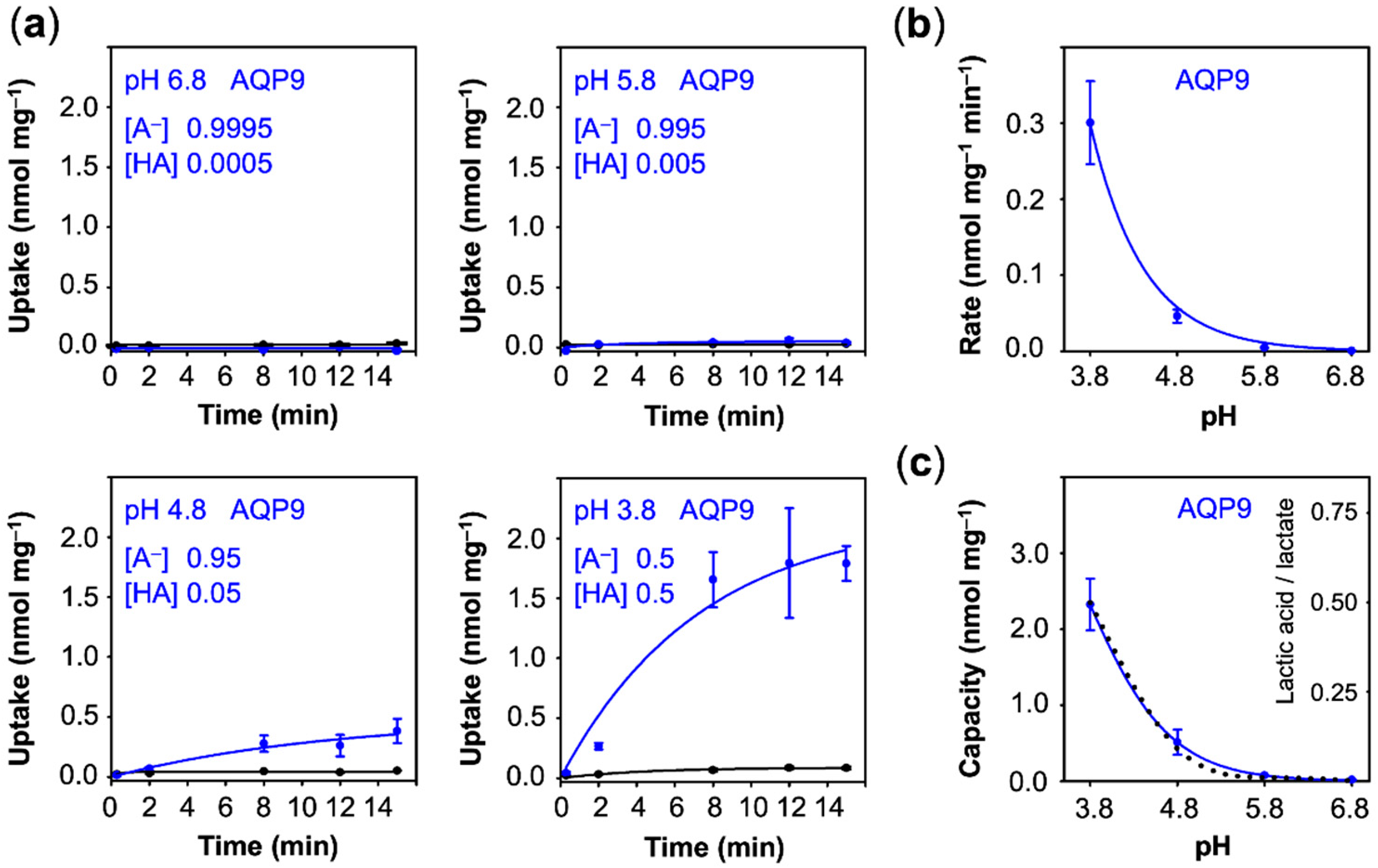 Membranes 10 00236 g003