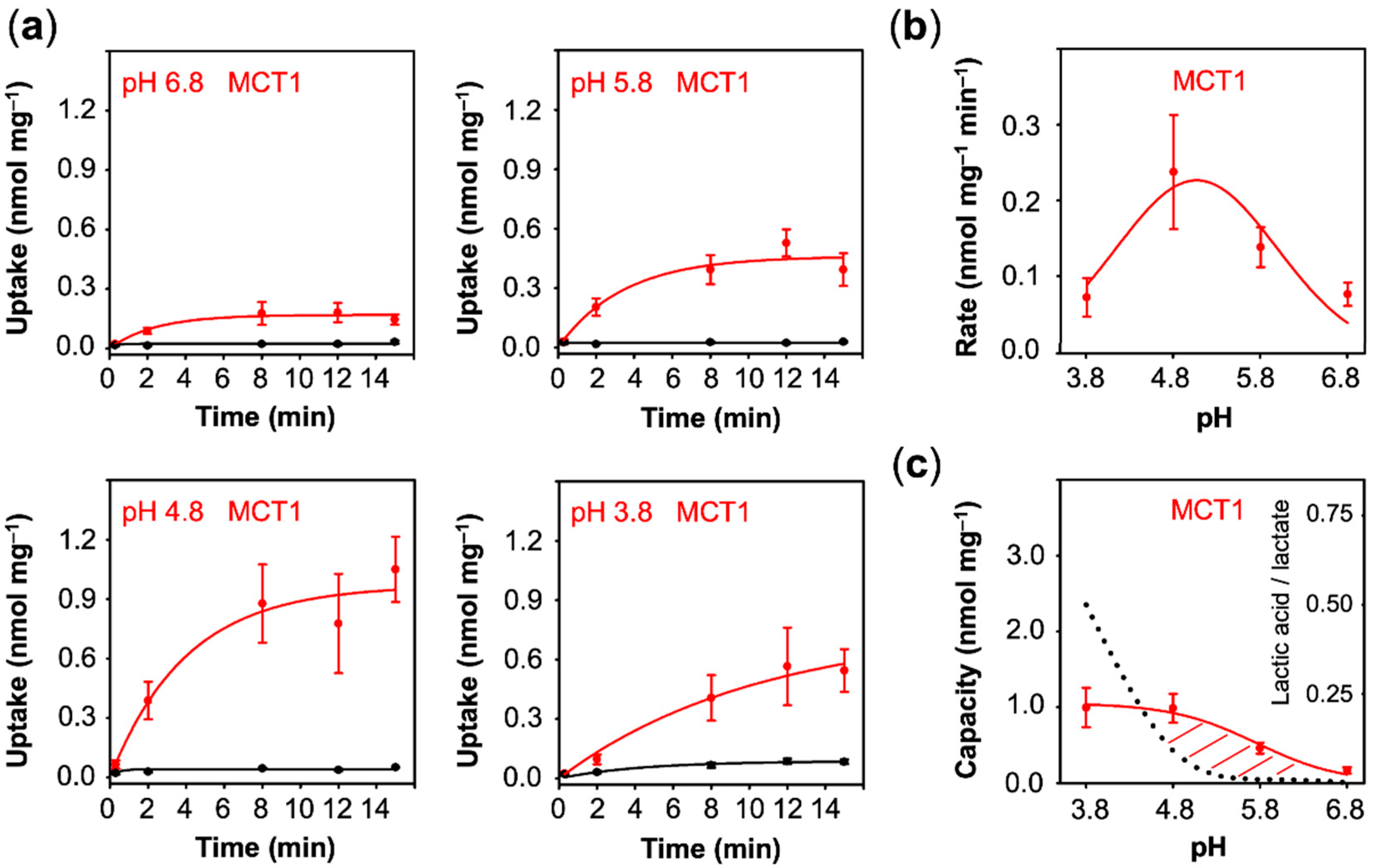 Membranes 10 00236 g004