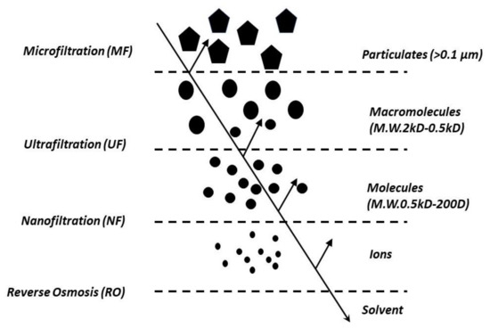 Membranes 10 00248 g001