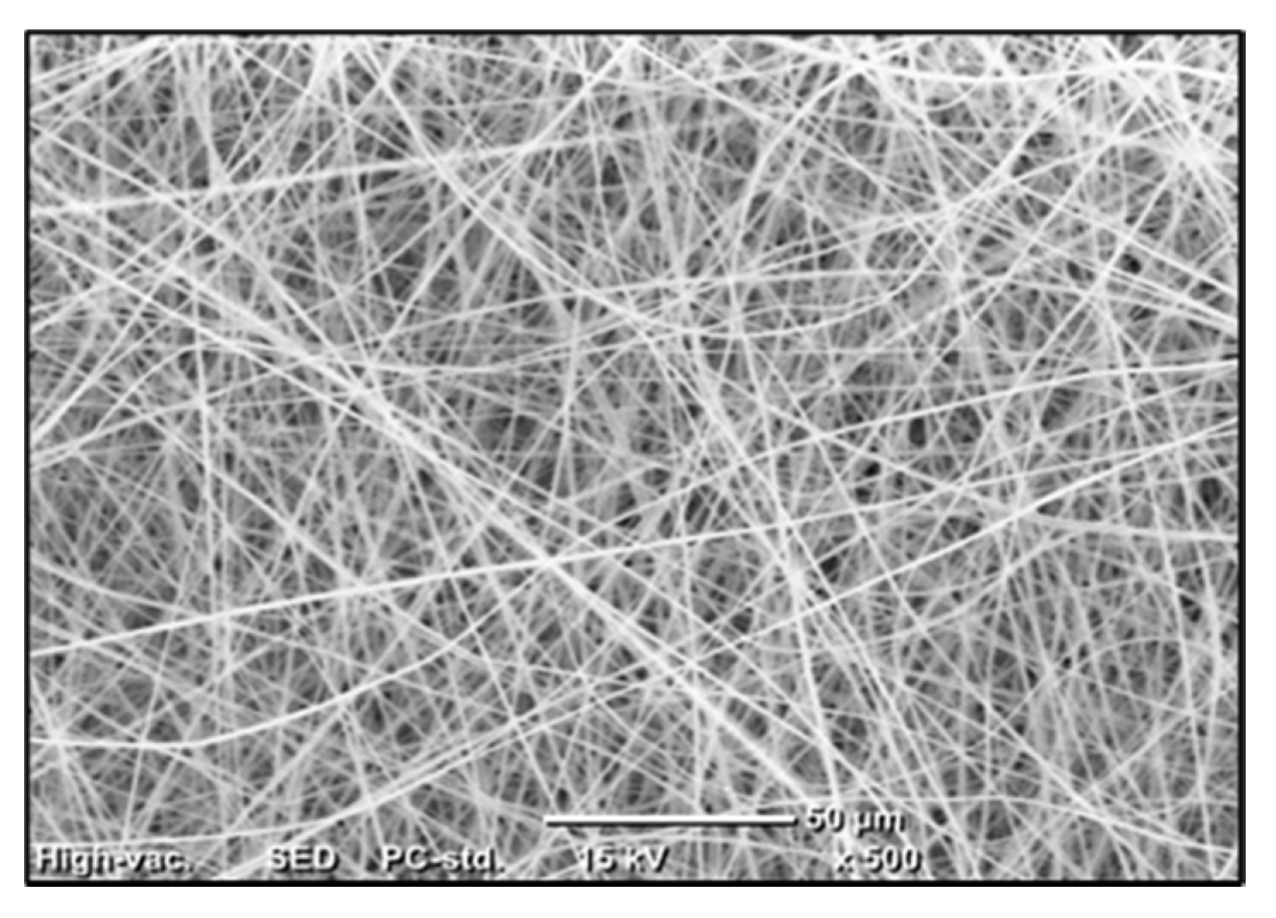 Membranes 10 00276 g003