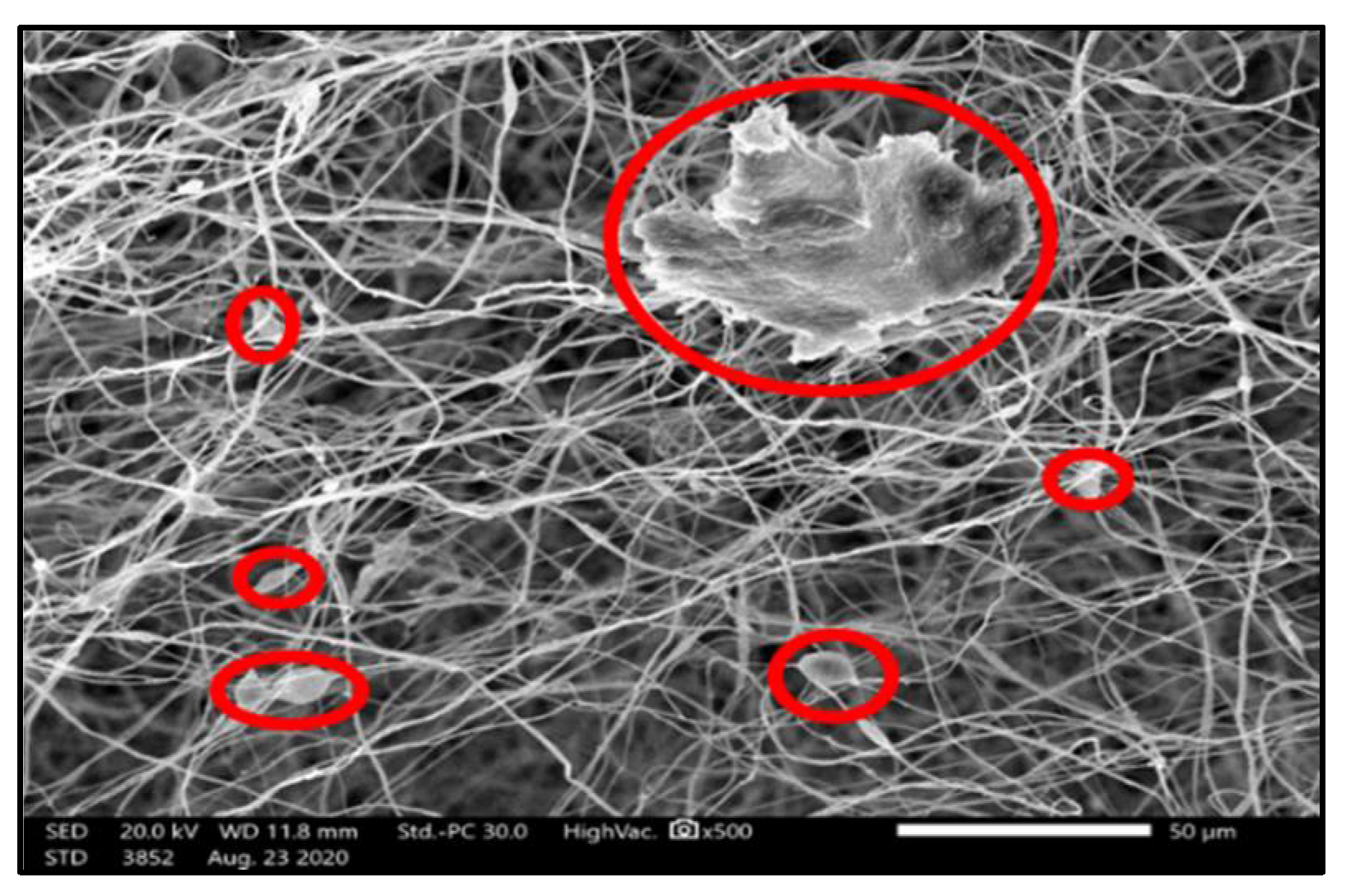 Membranes 10 00276 g012