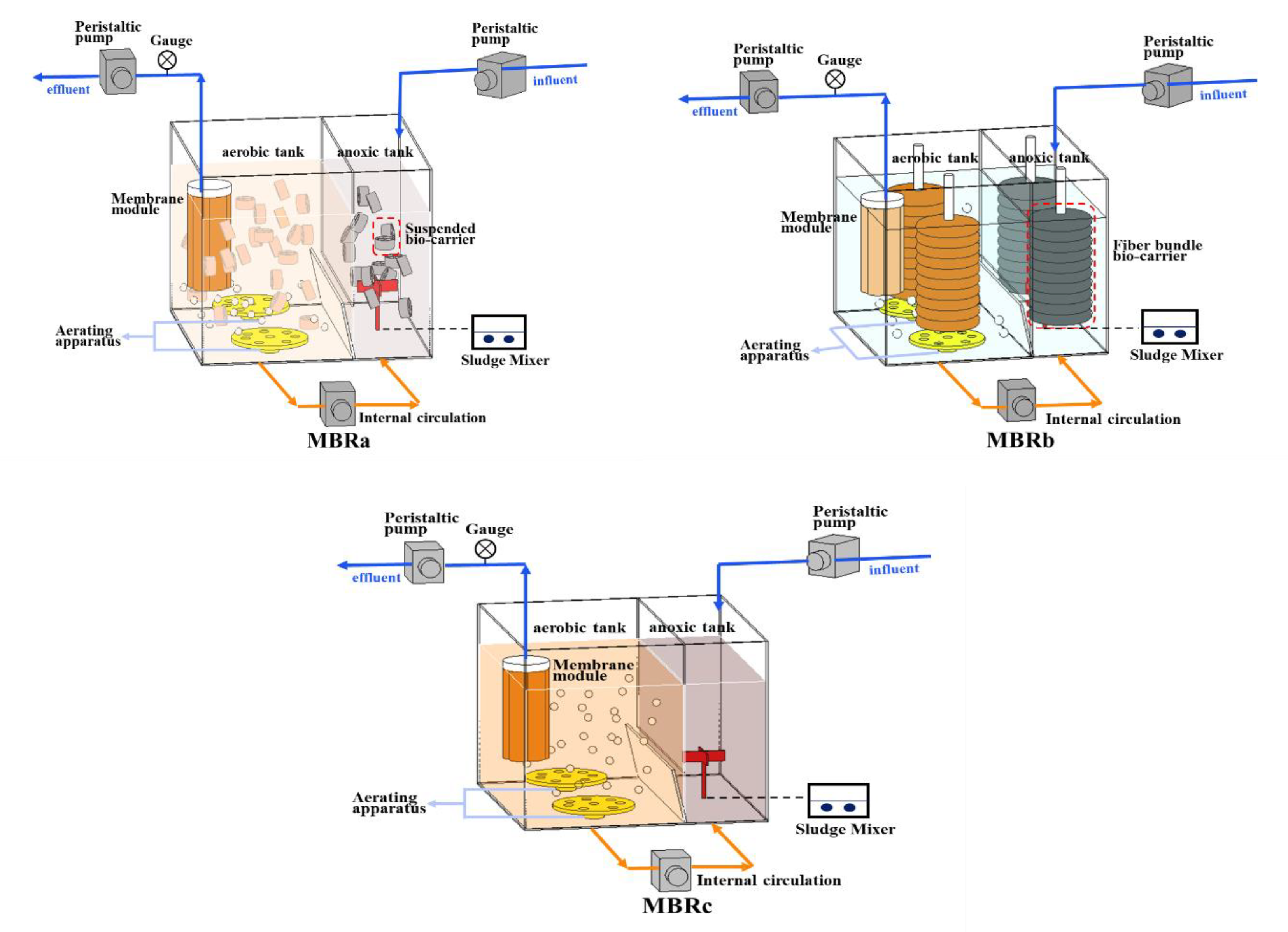 Membranes 10 00282 g001