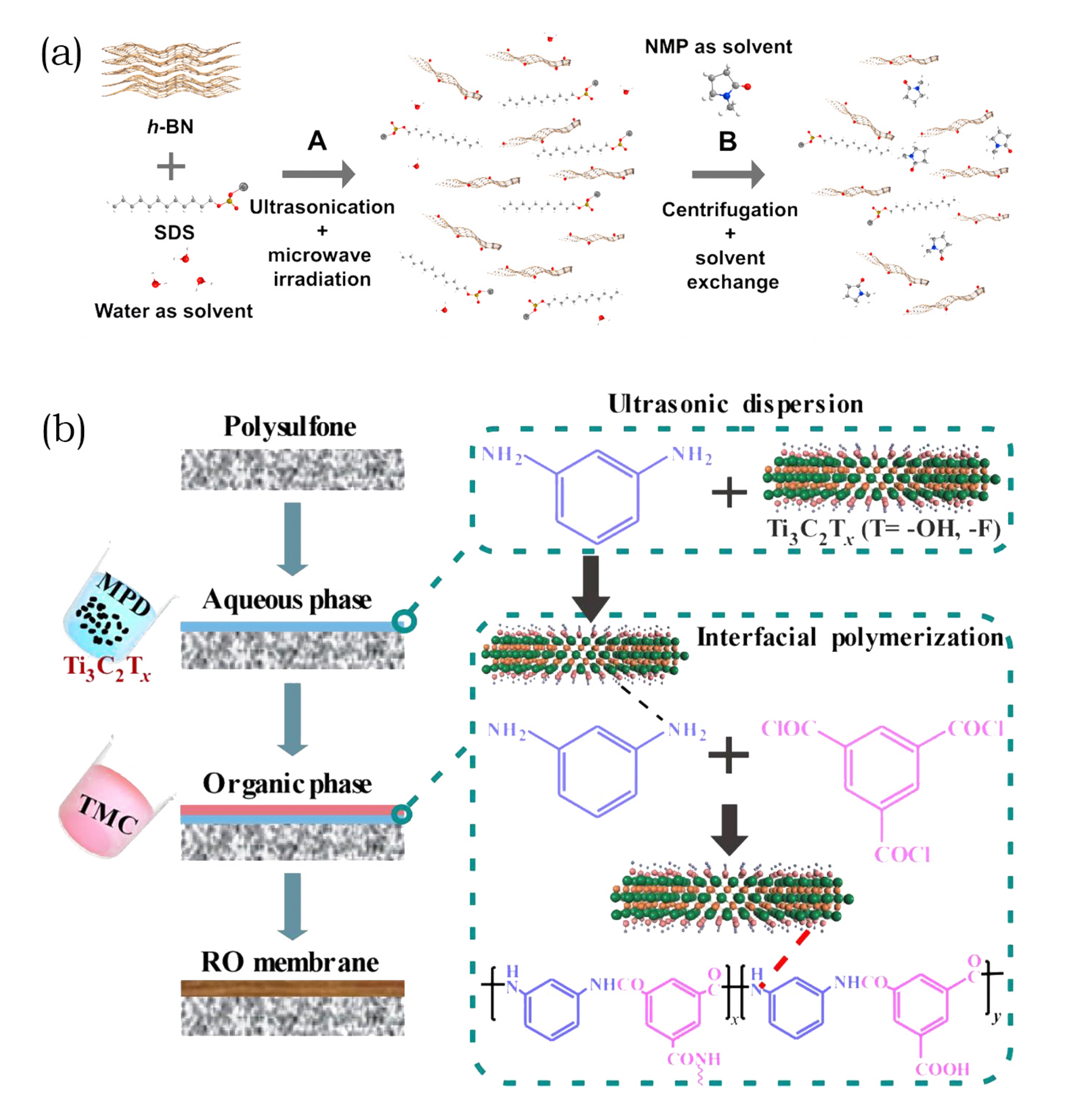 Membranes 10 00295 g005