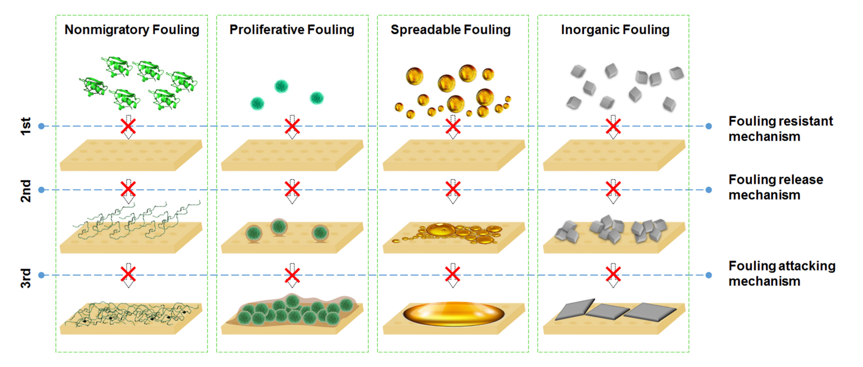 Membranes 10 00295 g006